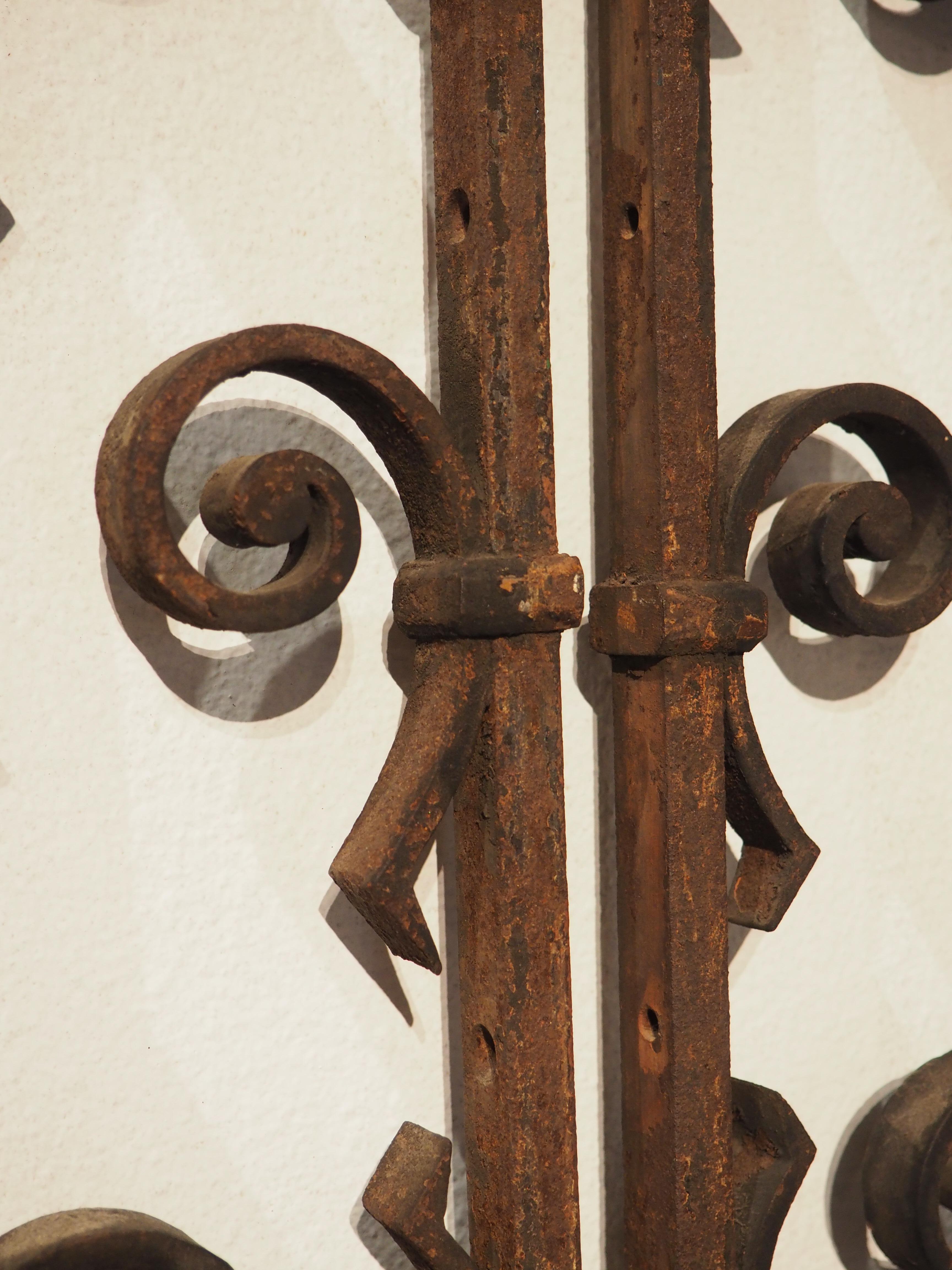 Pair of Arched 19th Century Wrought Iron Gates from France 1