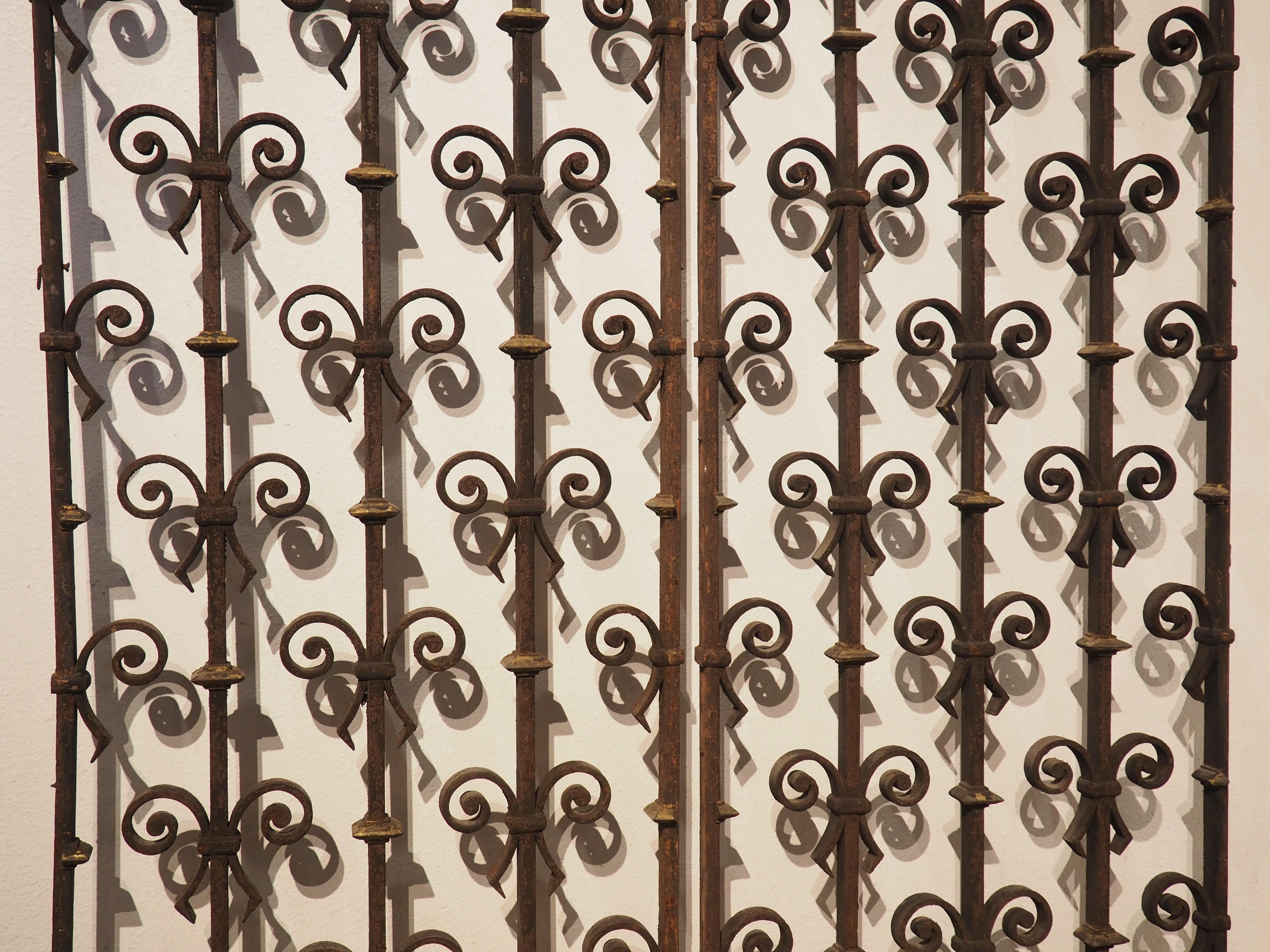 Pair of Arched 19th Century Wrought Iron Gates from France 3
