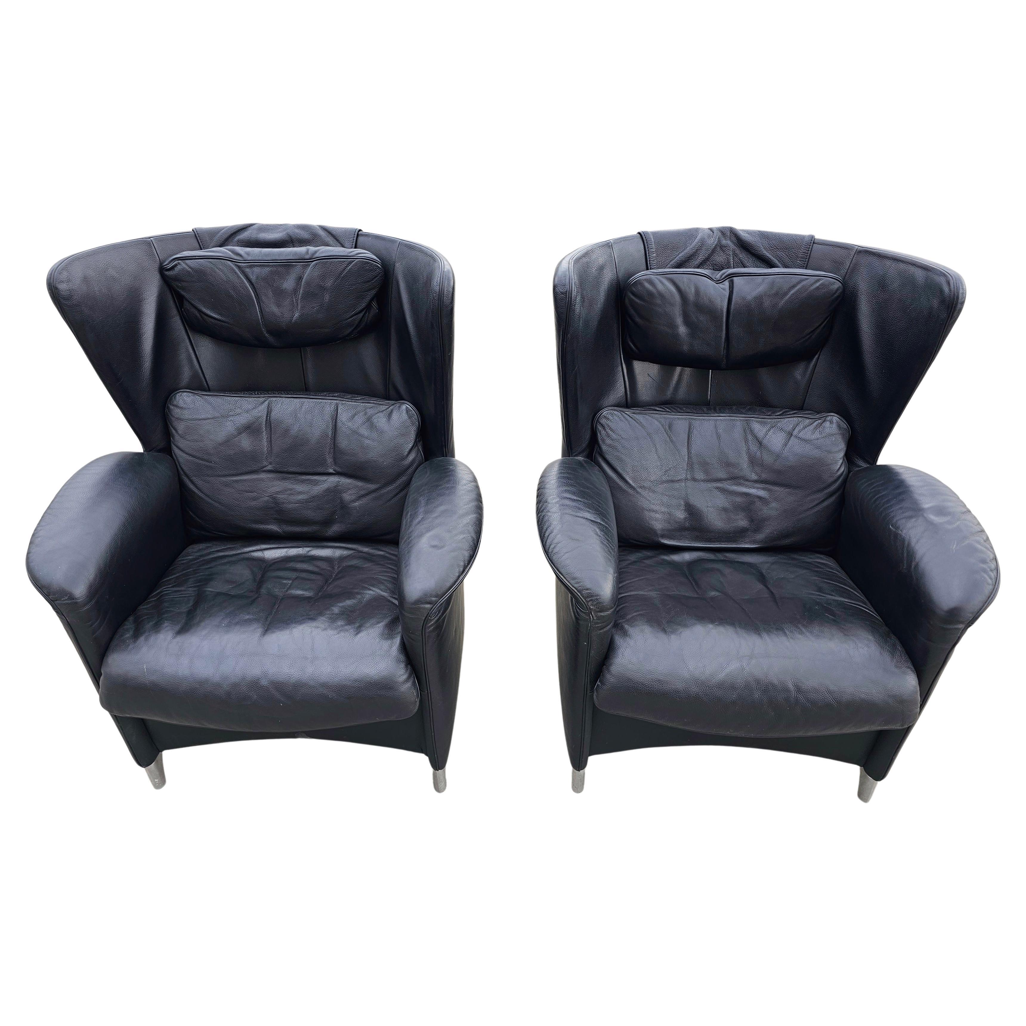 Pair of Armchair designed by Franz-Josef Schulte for De Sede, model DS-23