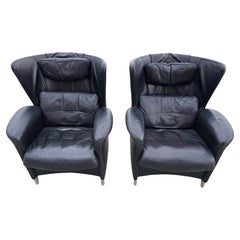Pair of Armchair designed by Franz-Josef Schulte for De Sede, model DS-23