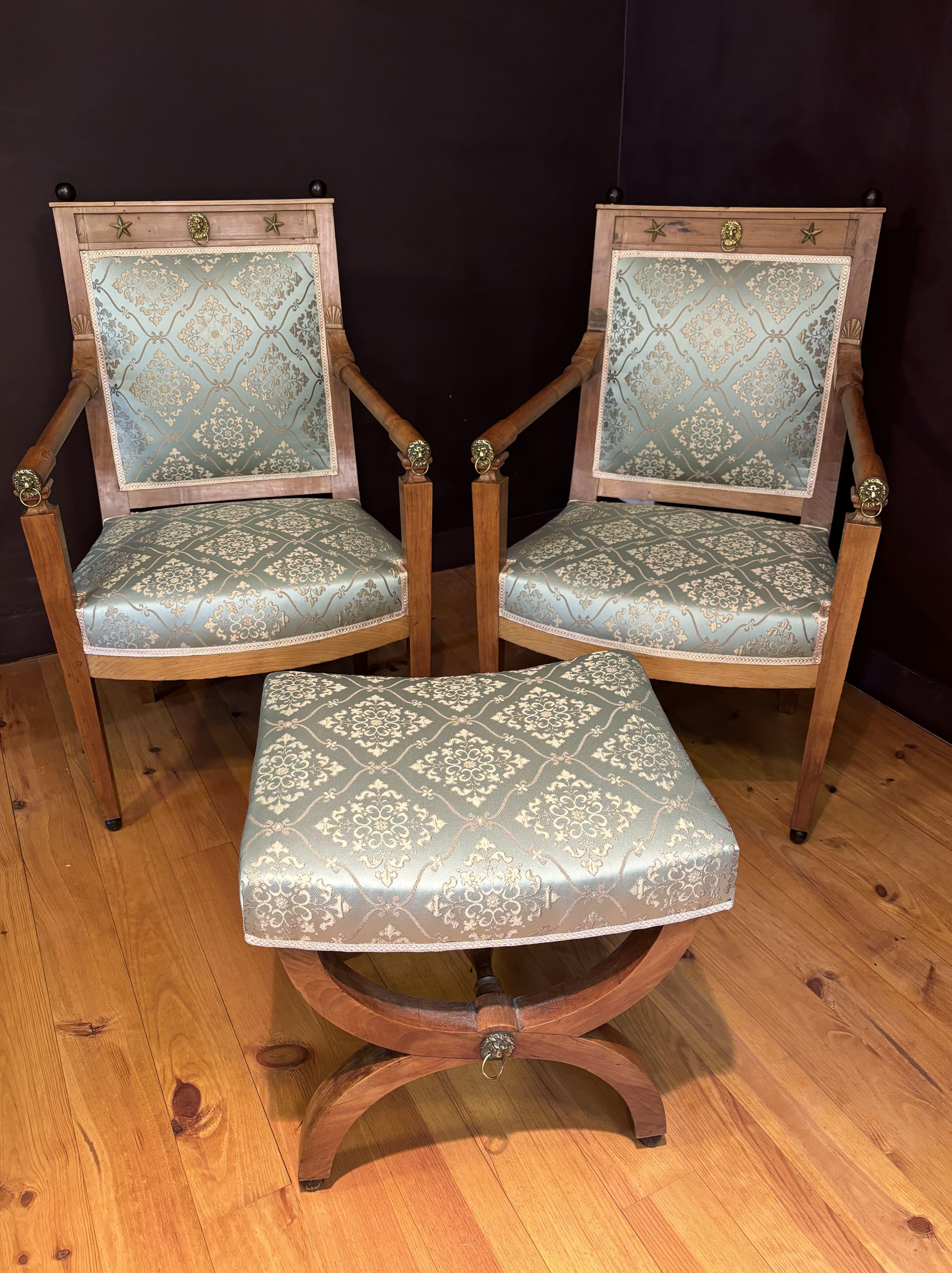Pair Of Armchairs And Curule Stool, Restoration Period, France, 19th Century 3