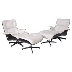 Lounge Chairs