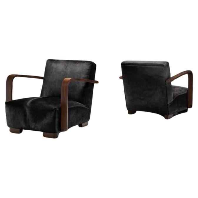 Pair of Armchairs in Ponyskin, Europe First half of the 20th Century