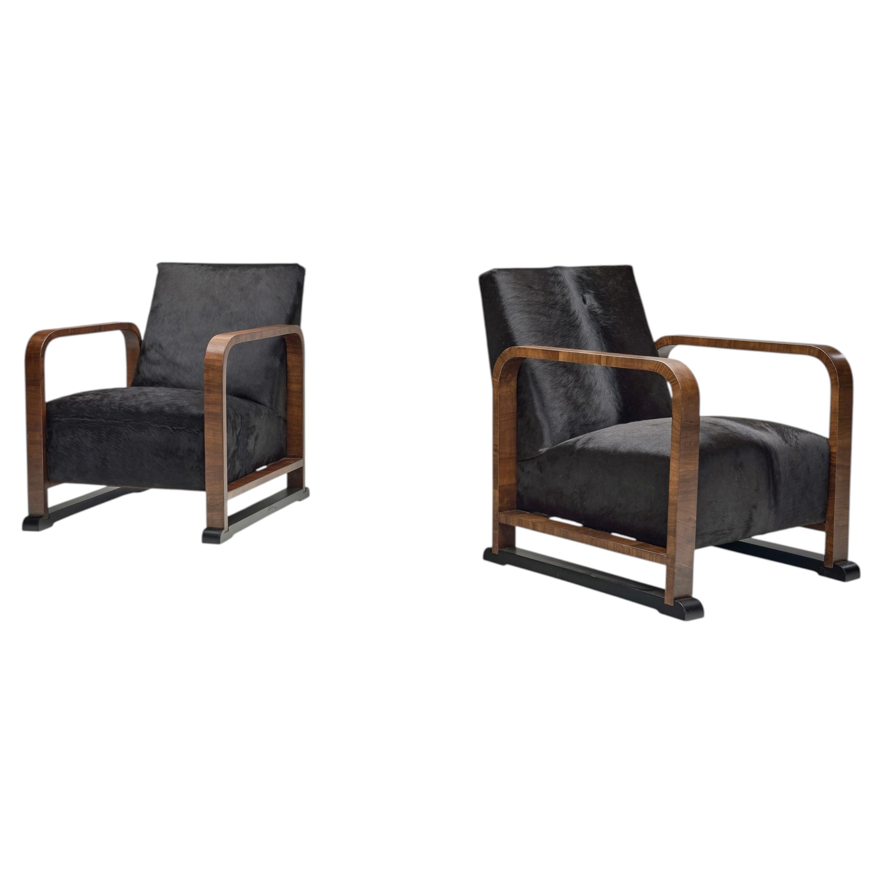 Pair of Art Deco Armchairs in Pony Hide, Europe First Half of the 20th Century For Sale