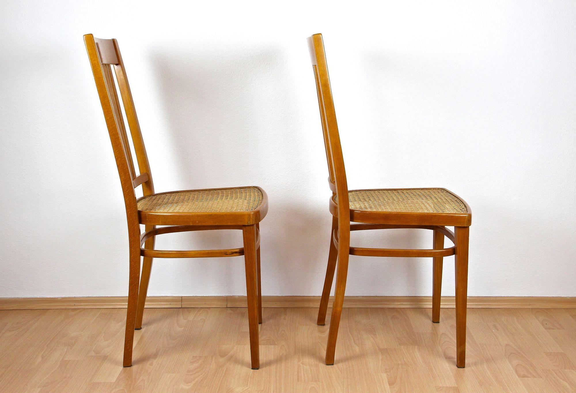 Paire de chaises en bois courbé Art Nouveau par J&J Kohn, Autriche vers 1910 en vente 3