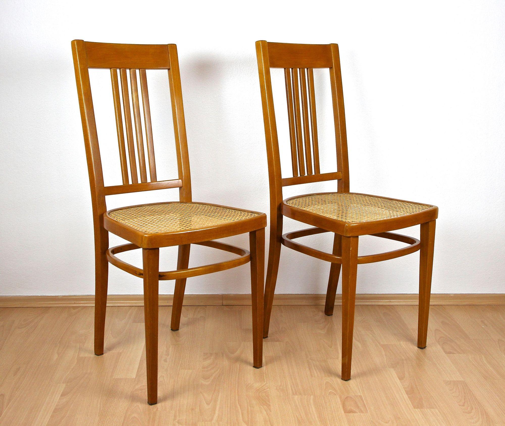 Pair of rare early 20th century bentwood side chairs designed by famous Austrian architect and painter Marcel Kammerer (1878 -1959) for Jacob & Josef Kohn. The renowed company of J&J Kohn was beside Thonet the world market leader when it came to
