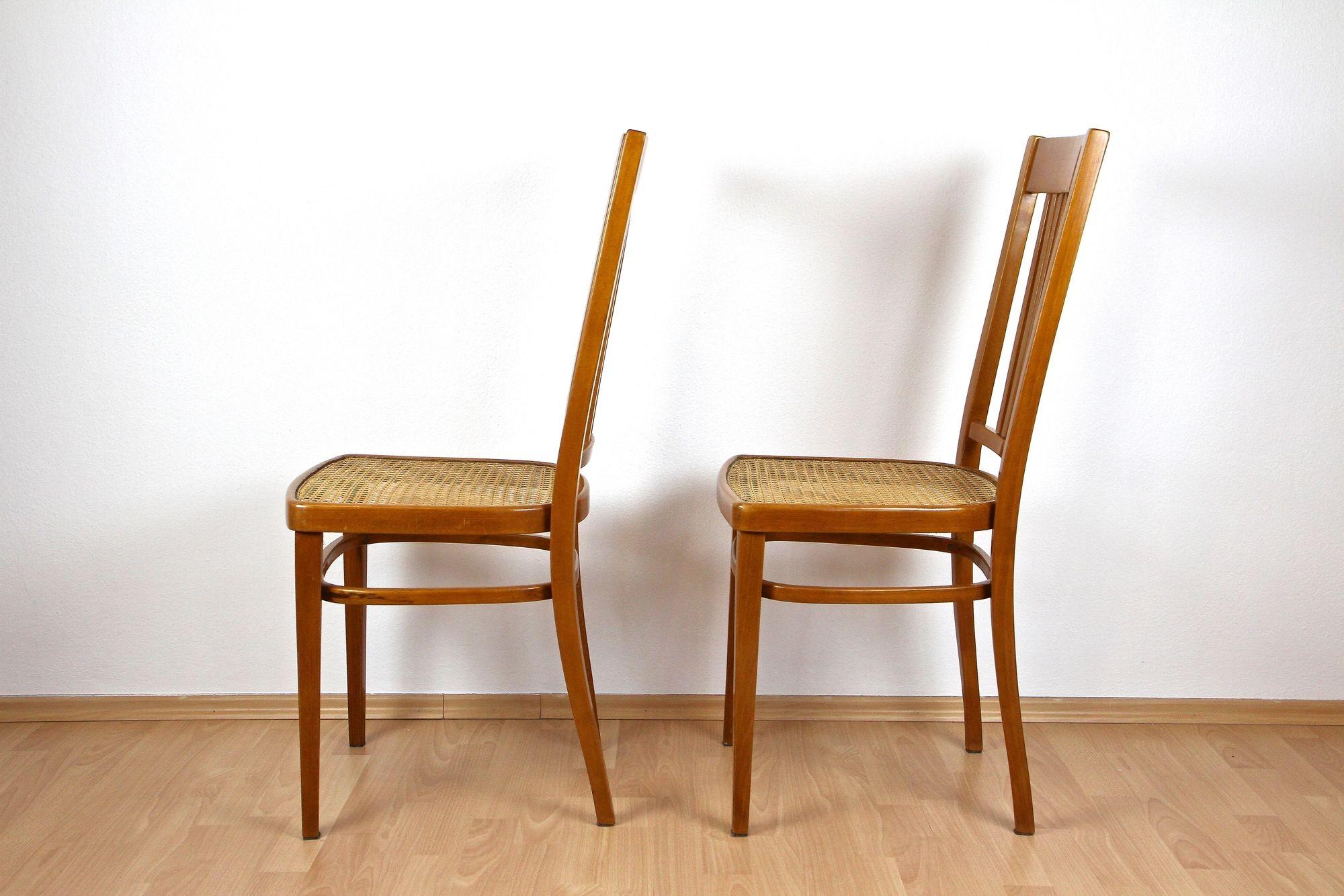 Paire de chaises en bois courbé Art Nouveau par J&J Kohn, Autriche vers 1910 en vente 1