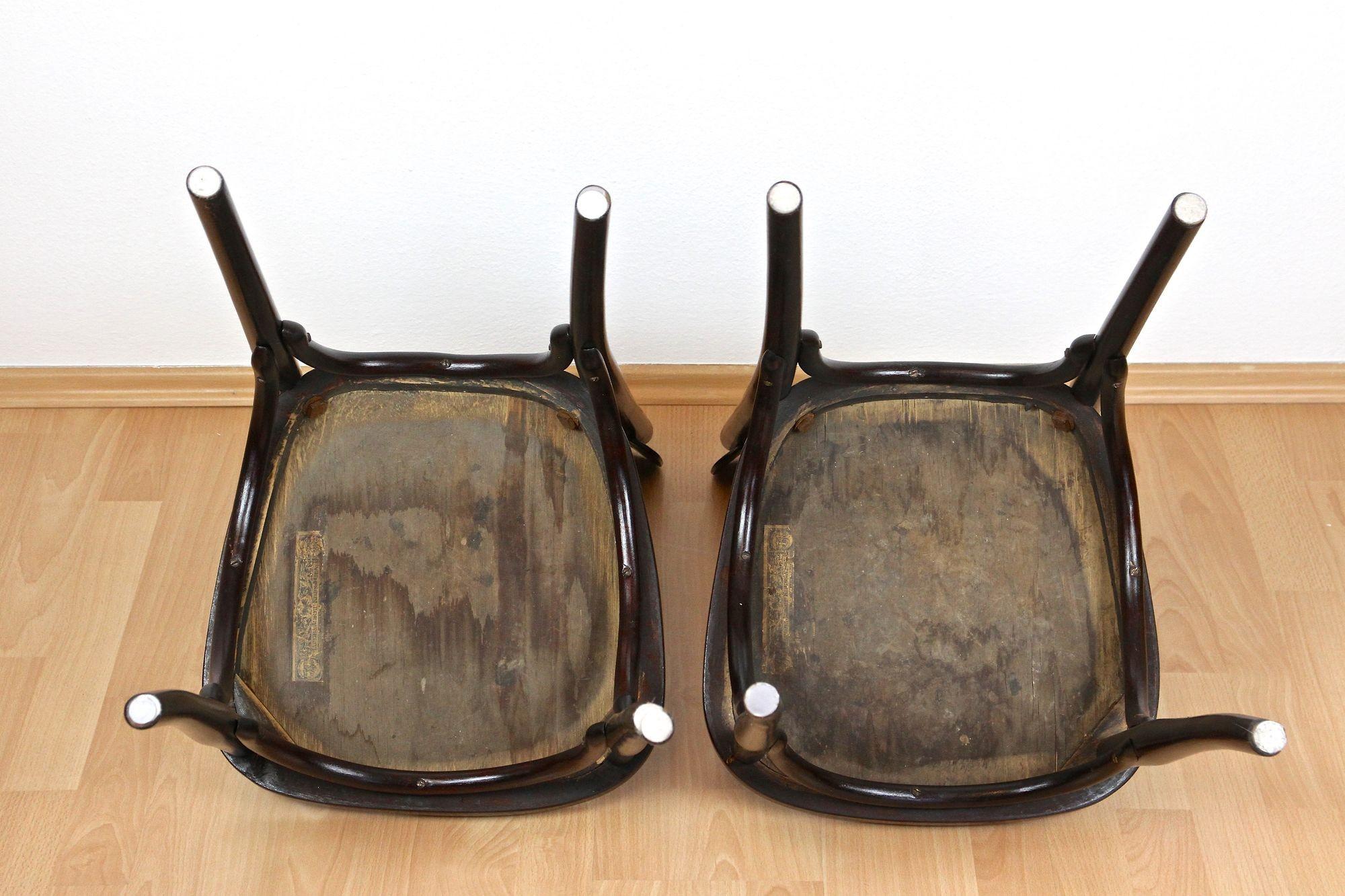 Pair Of Art Nouveau Bentwood Chairs by J&J Kohn, Vienna ca. 1910 For Sale 6