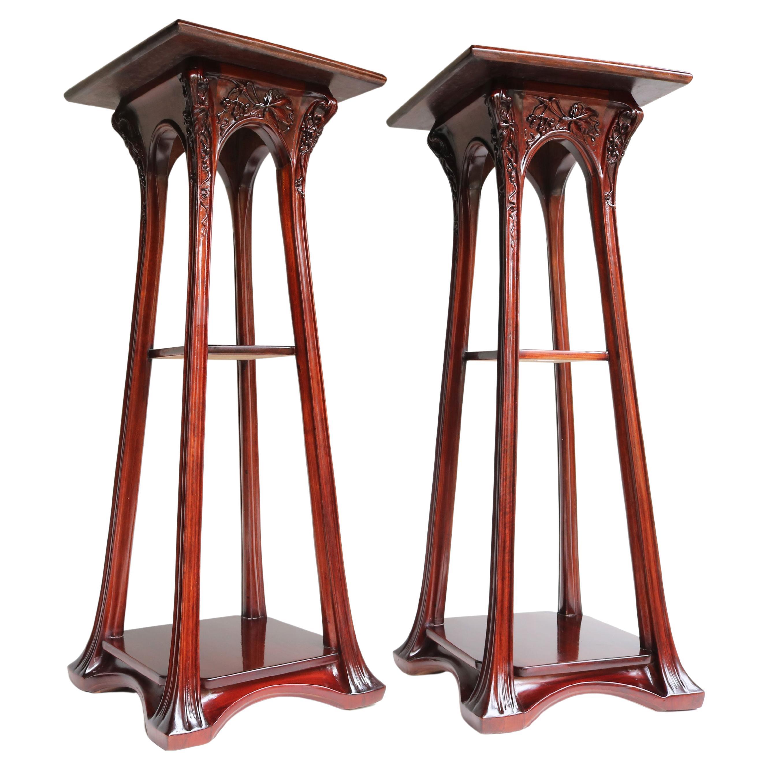 Tall Display Pedestals or Plant Stands, a Pair at 1stDibs