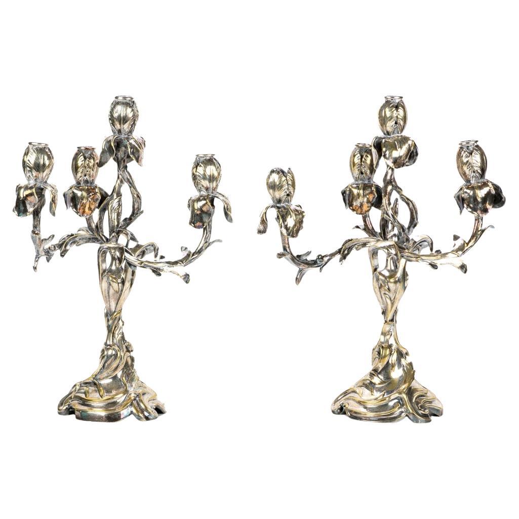 Paire de chandeliers Iris de style Art Nouveau en bronze argenté à quatre lumières