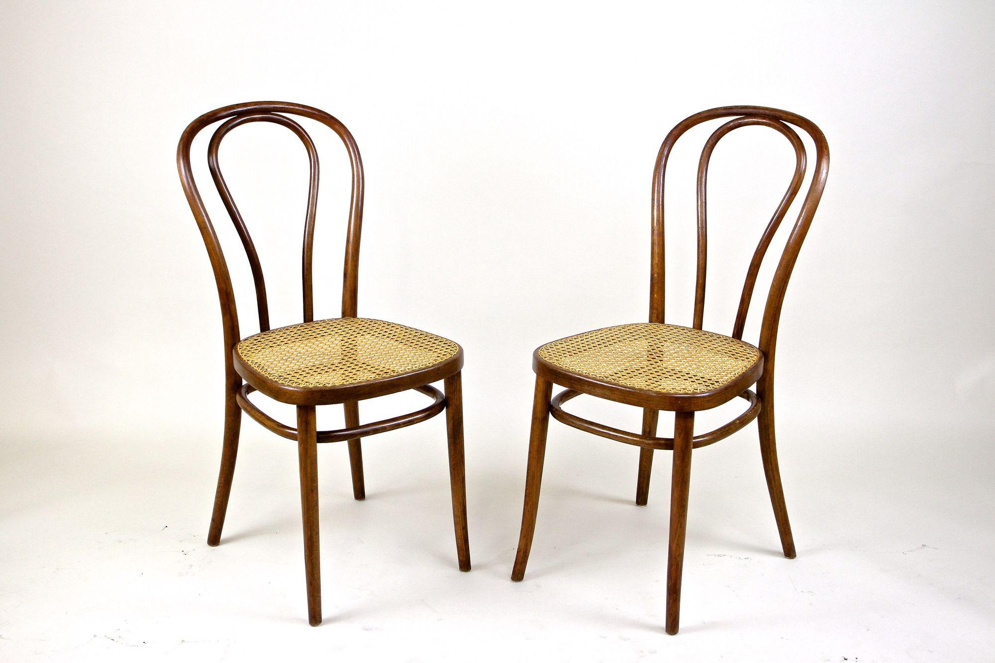 Pair of Art Nouveau Thonet Bentwood Chairs No. 14, Austria, circa, 1890 For Sale 7