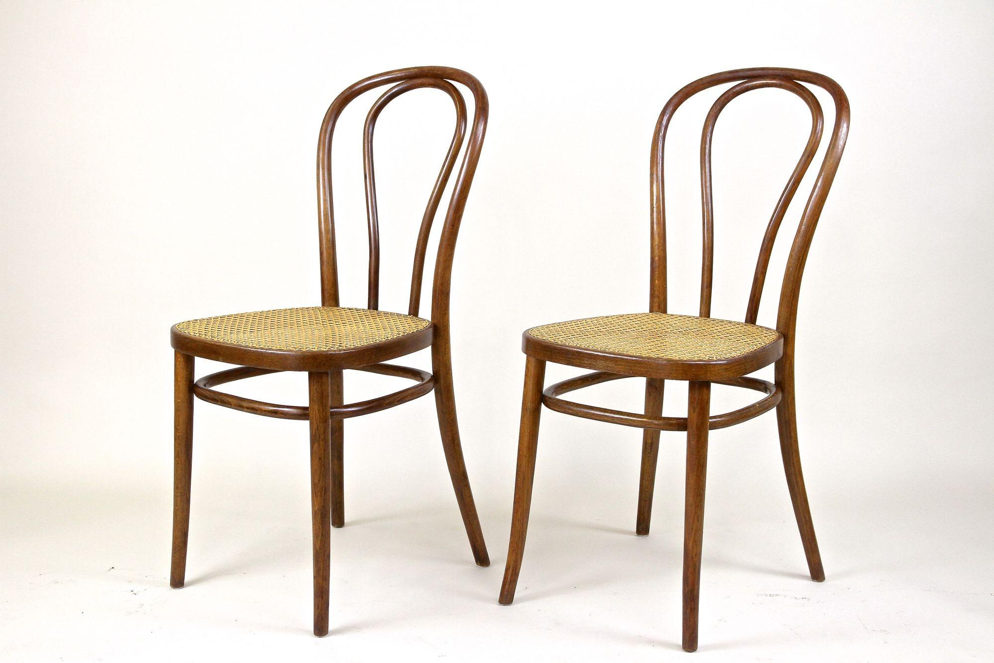 Pair of Art Nouveau Thonet Bentwood Chairs No. 14, Austria, circa, 1890 For Sale 8