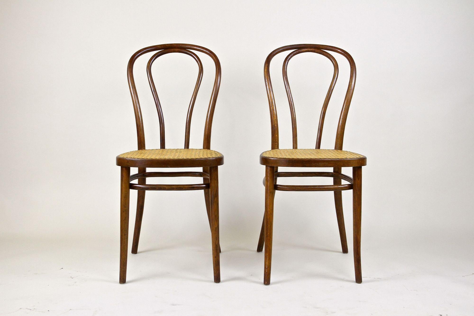 Austrian Pair of Art Nouveau Thonet Bentwood Chairs No. 14, Austria, circa, 1890 For Sale