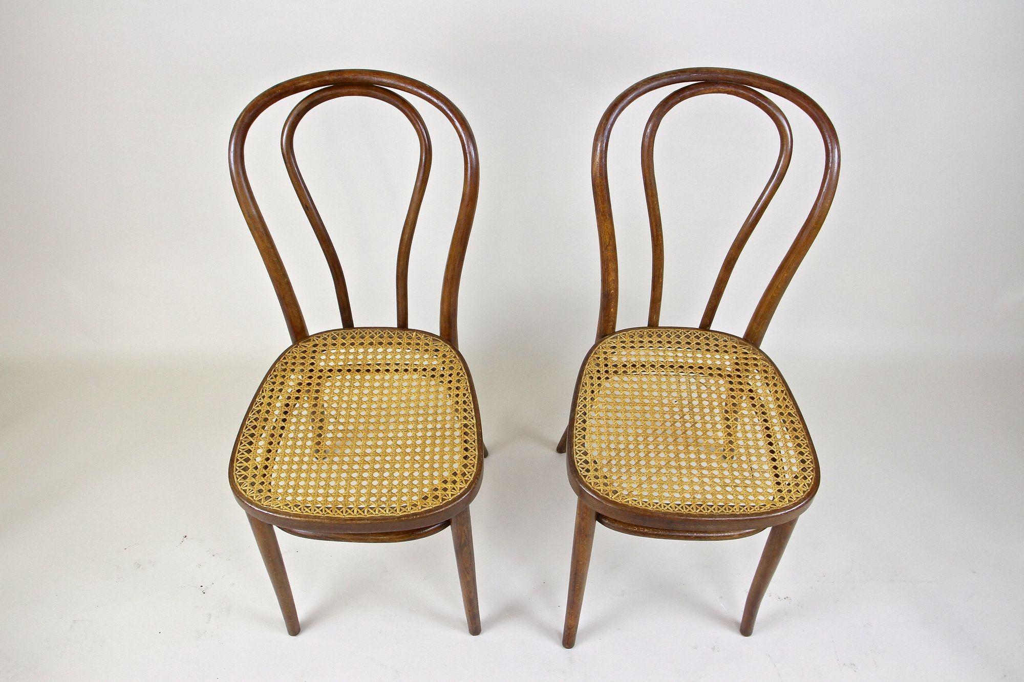 Pair of Art Nouveau Thonet Bentwood Chairs No. 14, Austria, circa, 1890 In Good Condition For Sale In Lichtenberg, AT