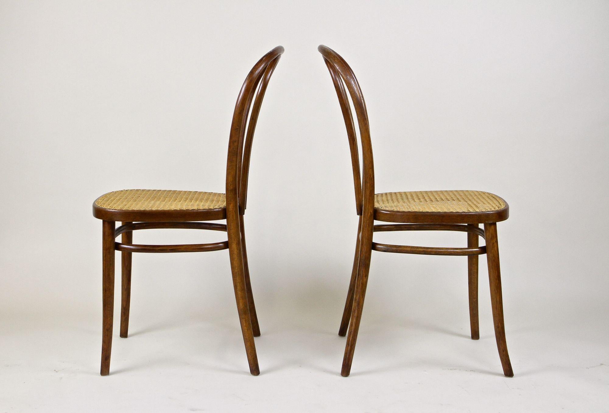 19th Century Pair of Art Nouveau Thonet Bentwood Chairs No. 14, Austria, circa, 1890 For Sale