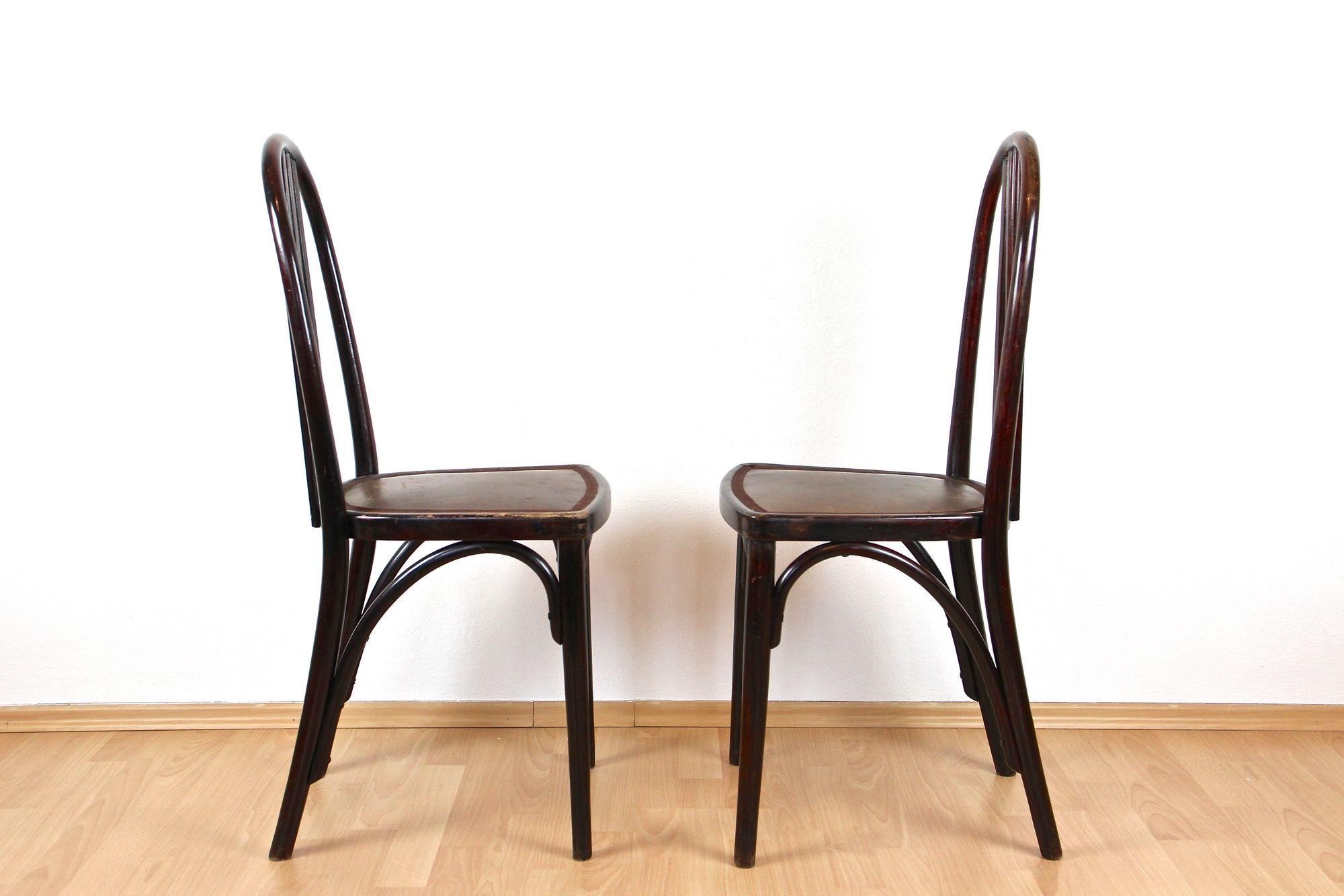 Paire de chaises Thonet Art Nouveau de Josef Hoffmann, 1ère édition ! - CZ vers 1906 en vente 7