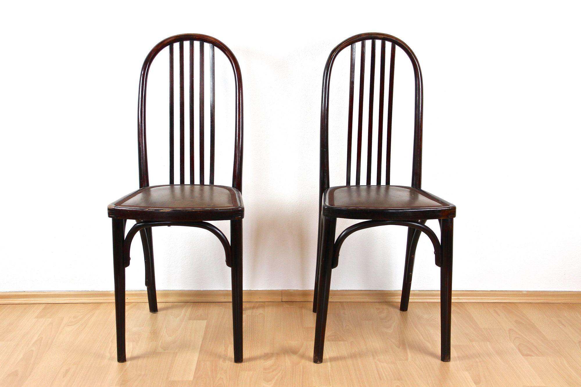 Sehr seltenes Paar der ersten Auflage(!) der Bugholzstühle von Thonet aus dem frühen 20. Jahrhundert, hergestellt von Thonet in Bohemia. Dieses berühmte Paar Thonet-Stühle im Jugendstil - Mod. 643 - wurde um 1906 von keinem Geringeren als dem