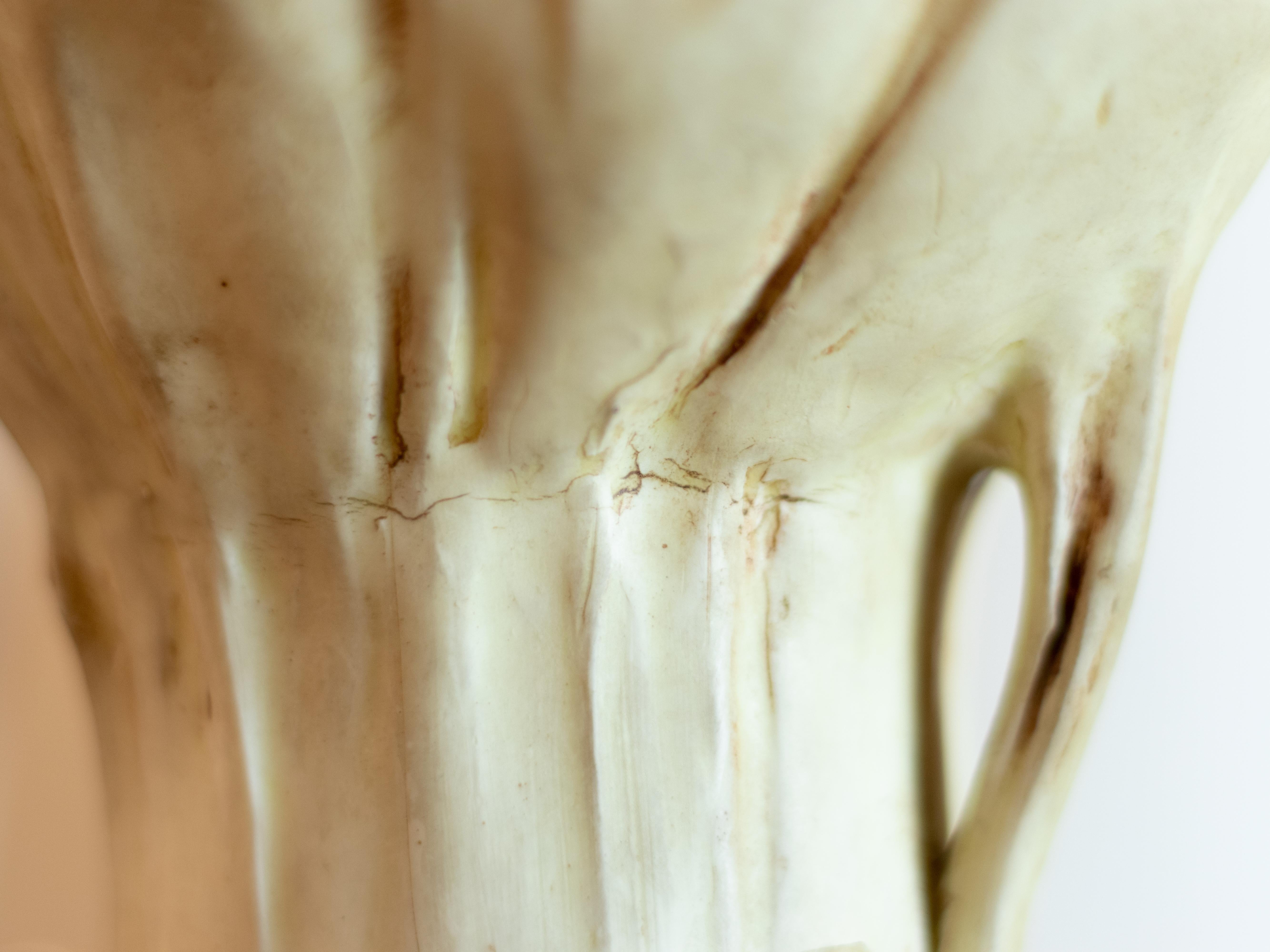 Pair of Art Nouveau Vases, Goldscheider & Liezen, 1900s For Sale 3