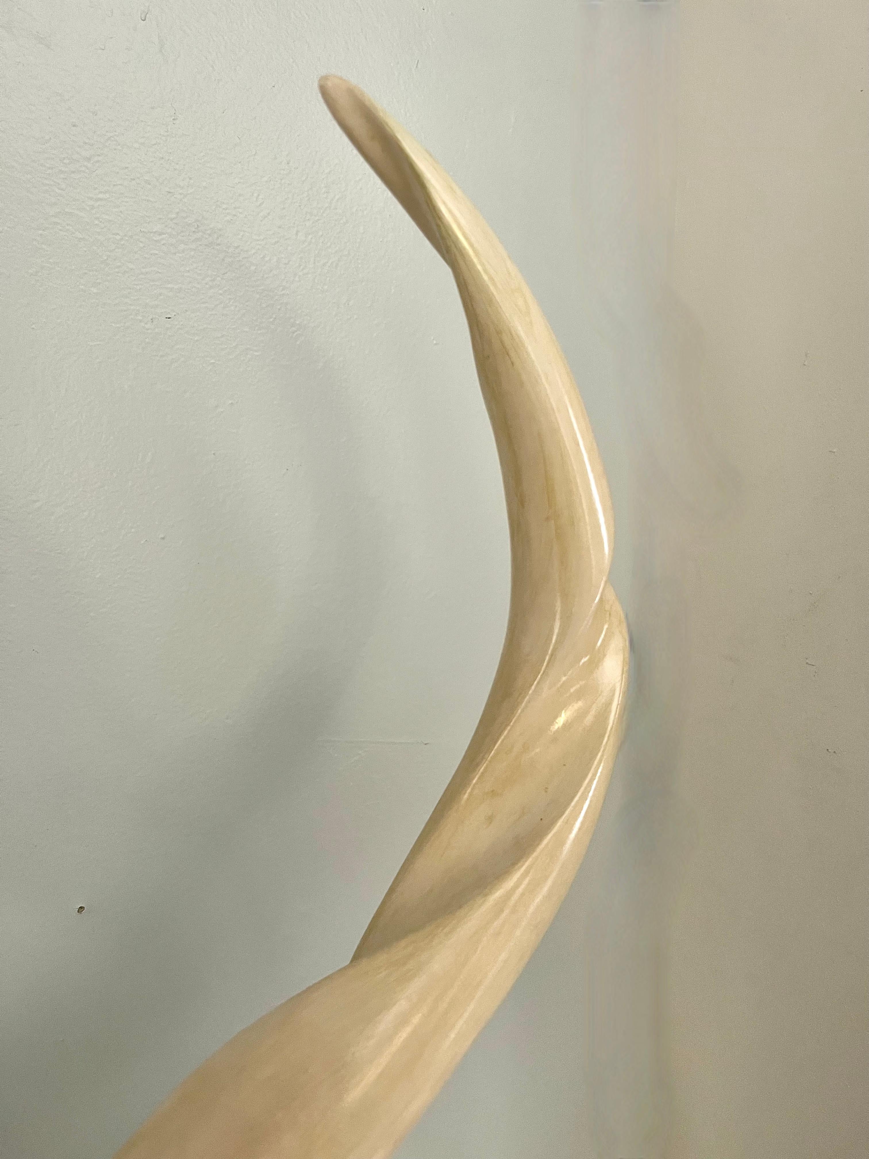 Pair of Kudu Horns on Brass and Lacquered Base 2