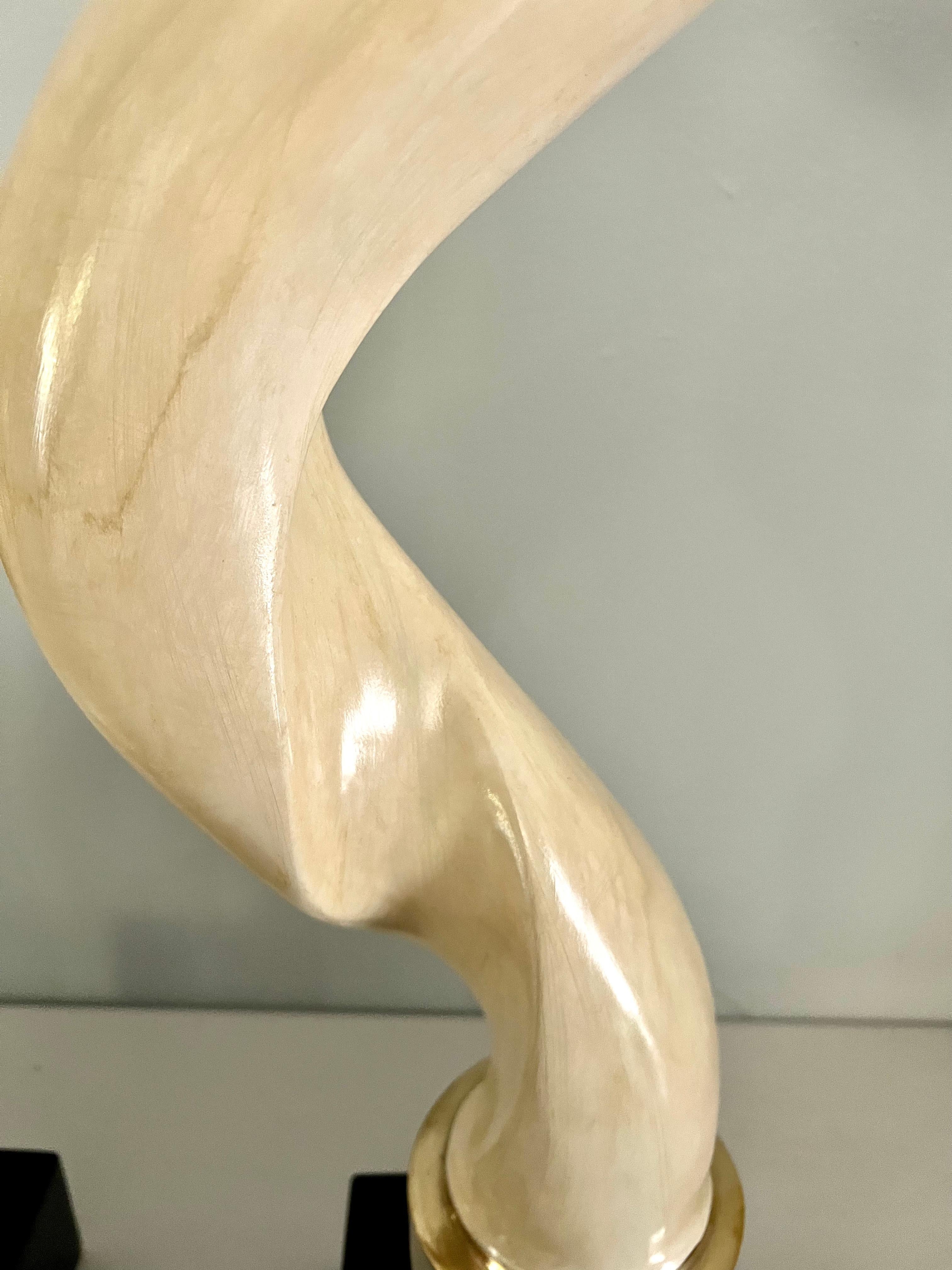 Pair of Kudu Horns on Brass and Lacquered Base 1
