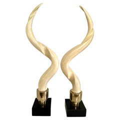 Pair of Kudu Horns on Brass and Lacquered Base