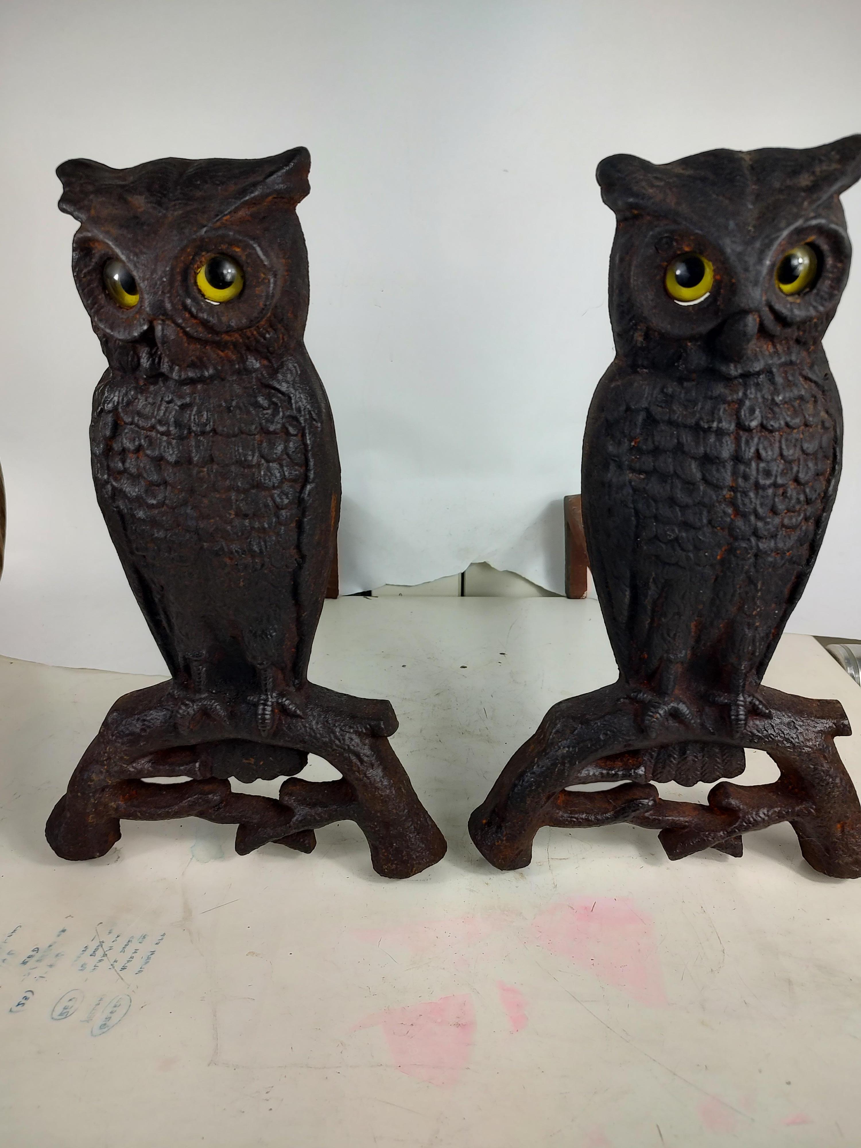 Pair of Arts & Crafts Cast Iron Owl Andirons with Glass Eyes   5