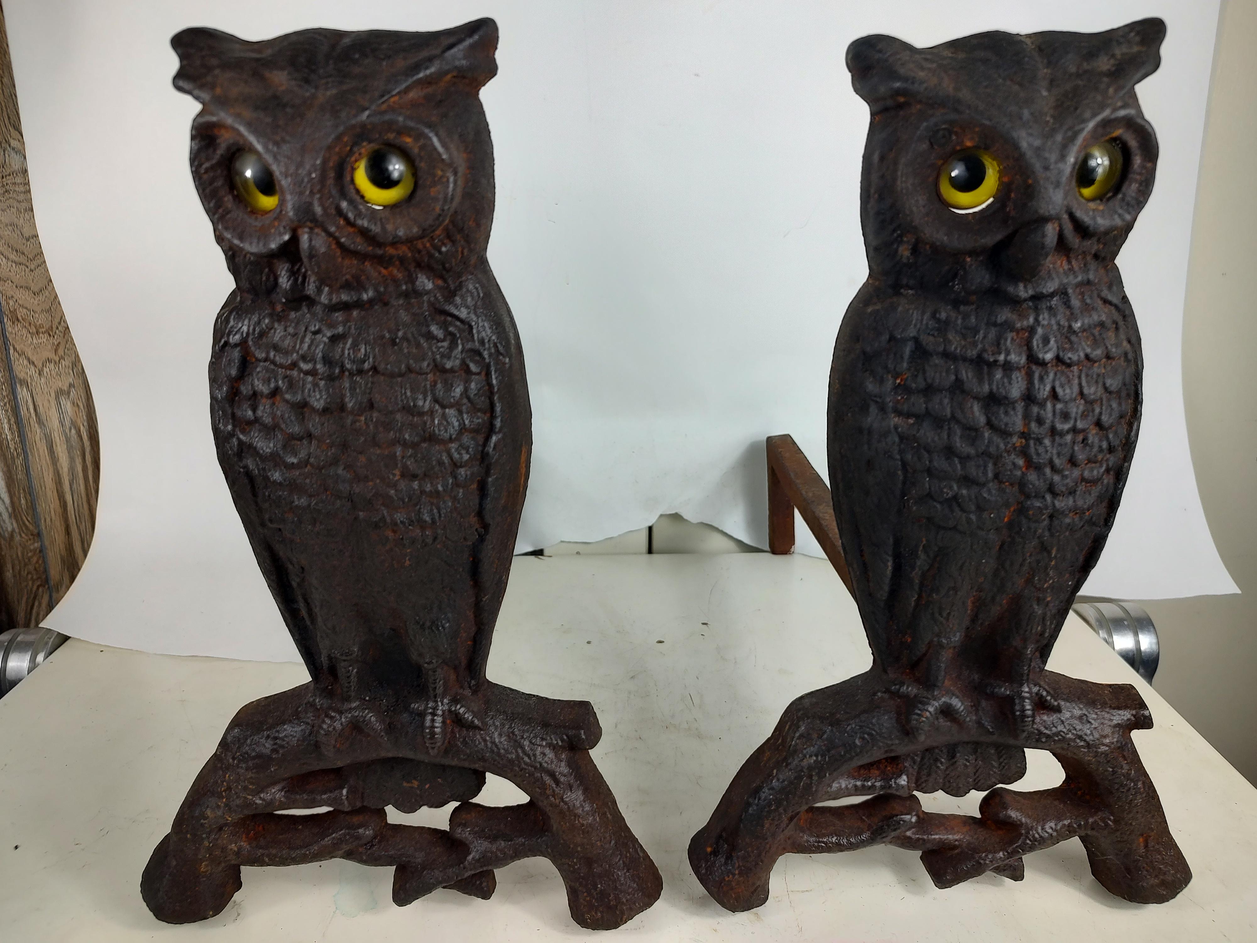 Pair of Arts & Crafts Cast Iron Owl Andirons with Glass Eyes   6