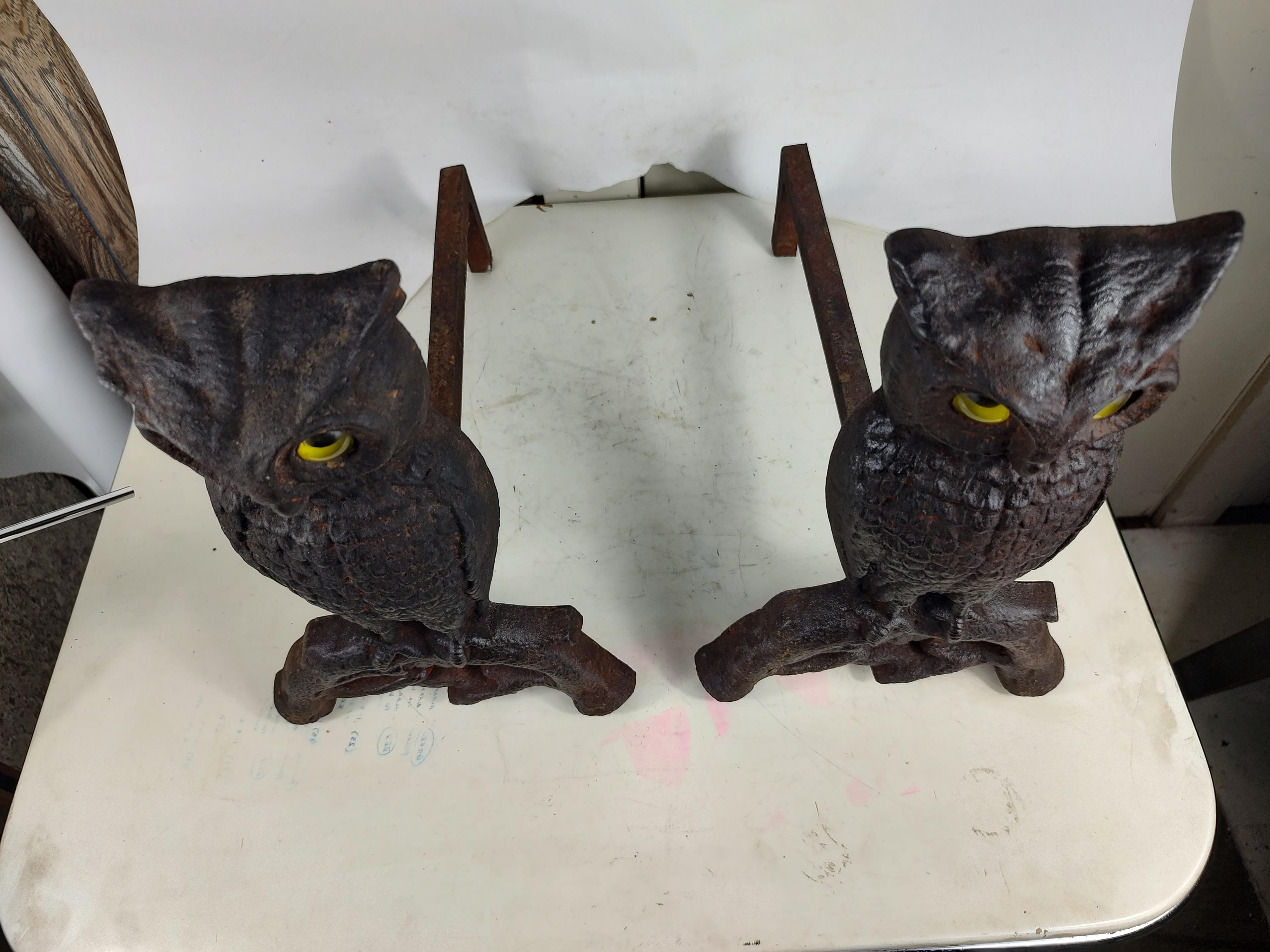 Adirondack Pair of Arts & Crafts Cast Iron Owl Andirons with Glass Eyes  
