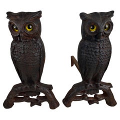 Antique Pair of Arts & Crafts Cast Iron Owl Andirons with Glass Eyes  