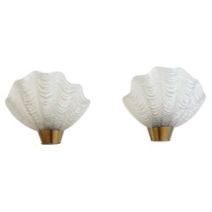 Pair of ASEA Shell Wall Lights Sconces Brass Glass Swedish Design 1950s Coquille