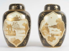 Paire de pots à gingembre en porcelaine de style asiatique, 20e siècle, style art asiatique dans la douleur.