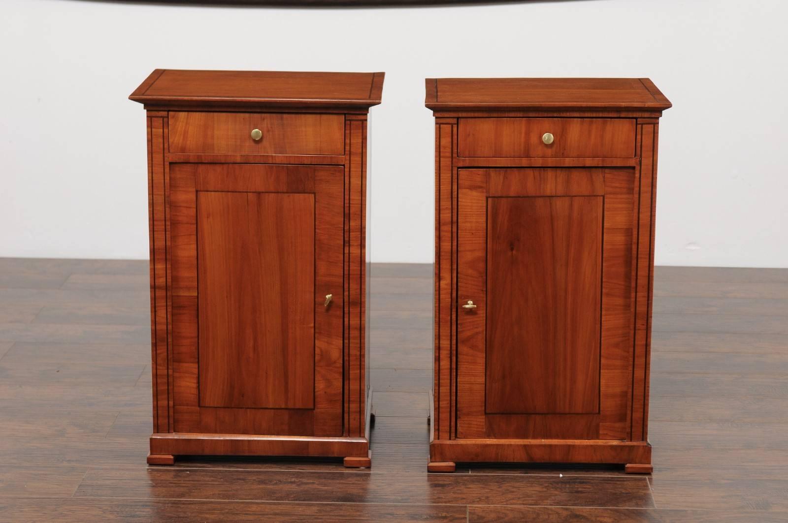 Pair of Austrian Biedermeier Cabinets with Single Drawer and Door, circa 1870 For Sale 3