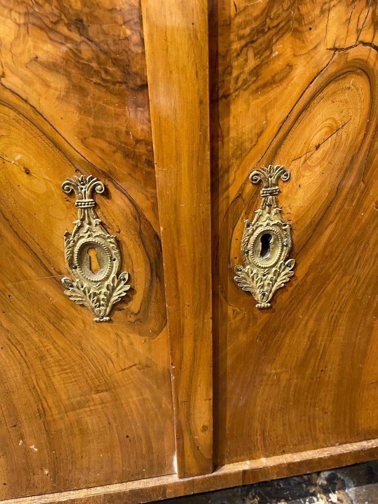 Pair of Austrian Empire Side Cabinets 3