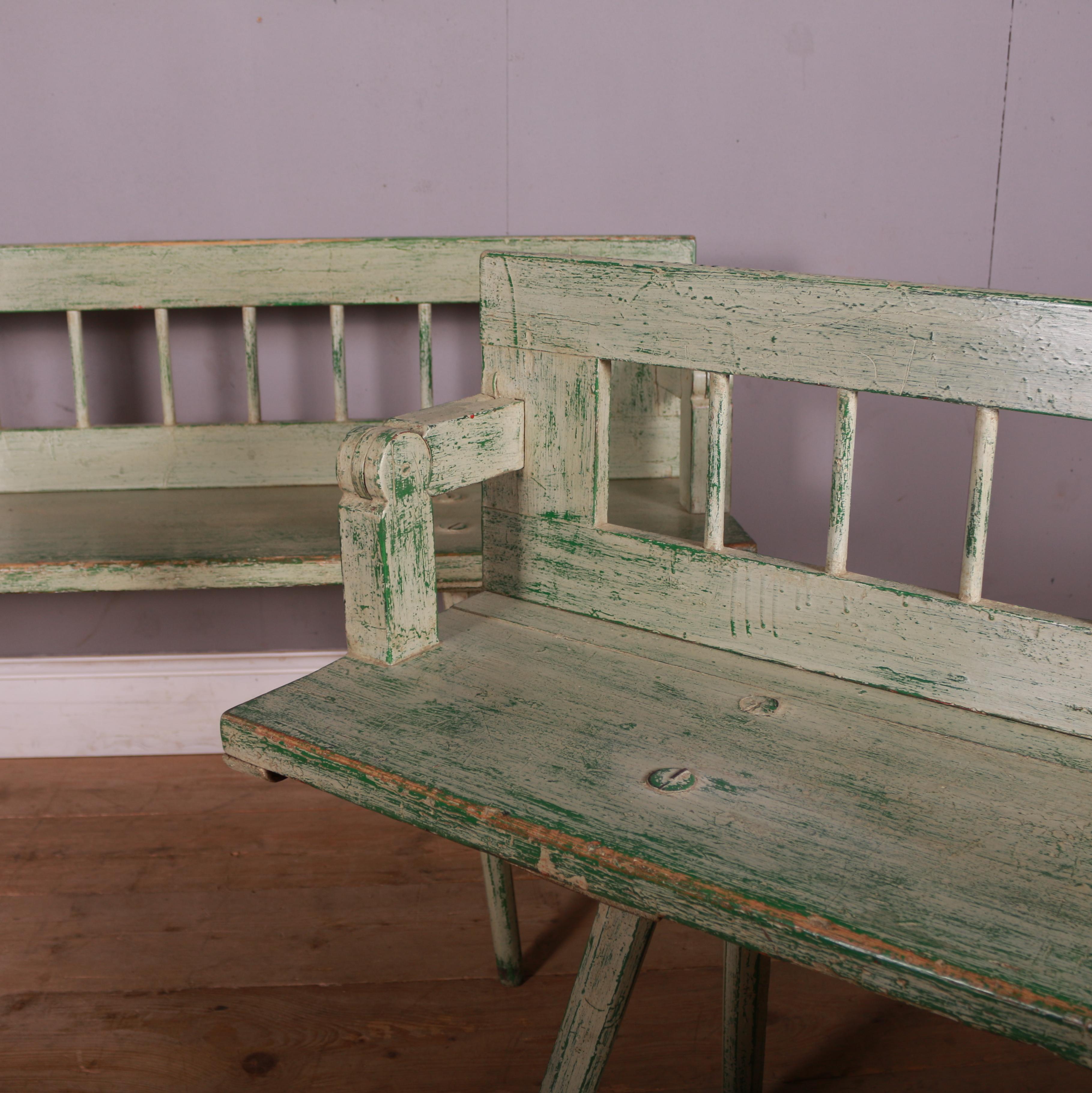 Pair of Austrian Pine Benches 4