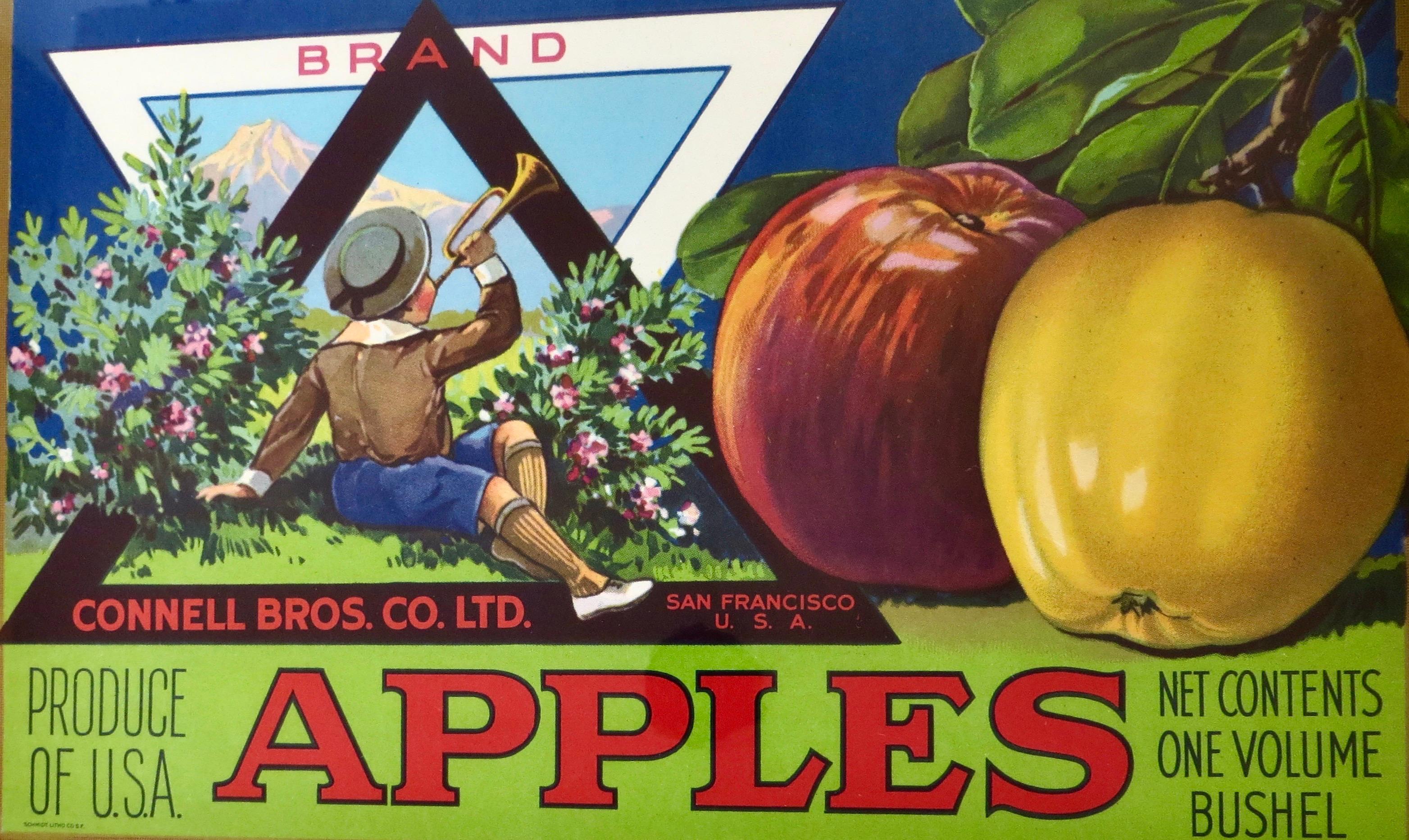 Ein Paar authentische kalifornische Fruit Crate-Etiketten mit Apfelmotiven. CIRCA 1940er Jahre (amerikanisch) im Angebot
