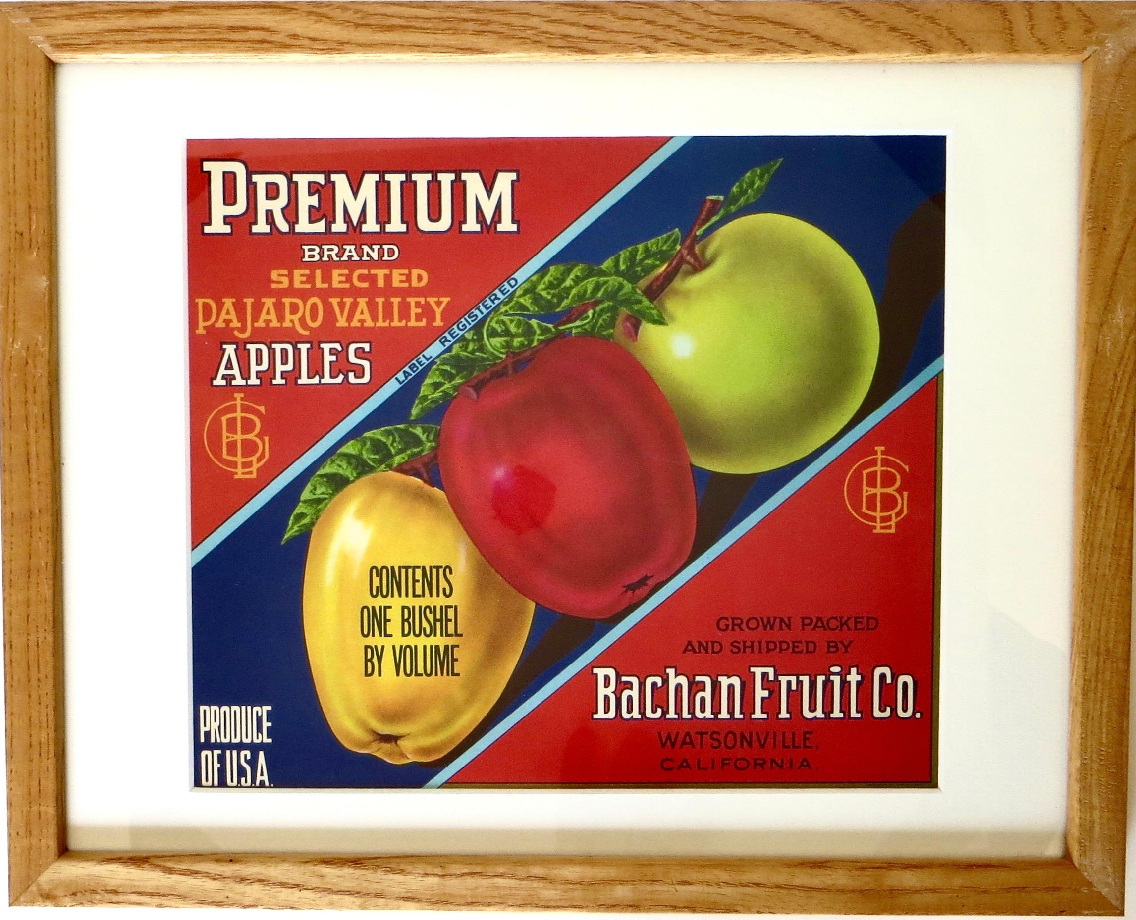 Ein Paar authentische kalifornische Fruit Crate-Etiketten mit Apfelmotiven. CIRCA 1940er Jahre (Polychromiert) im Angebot