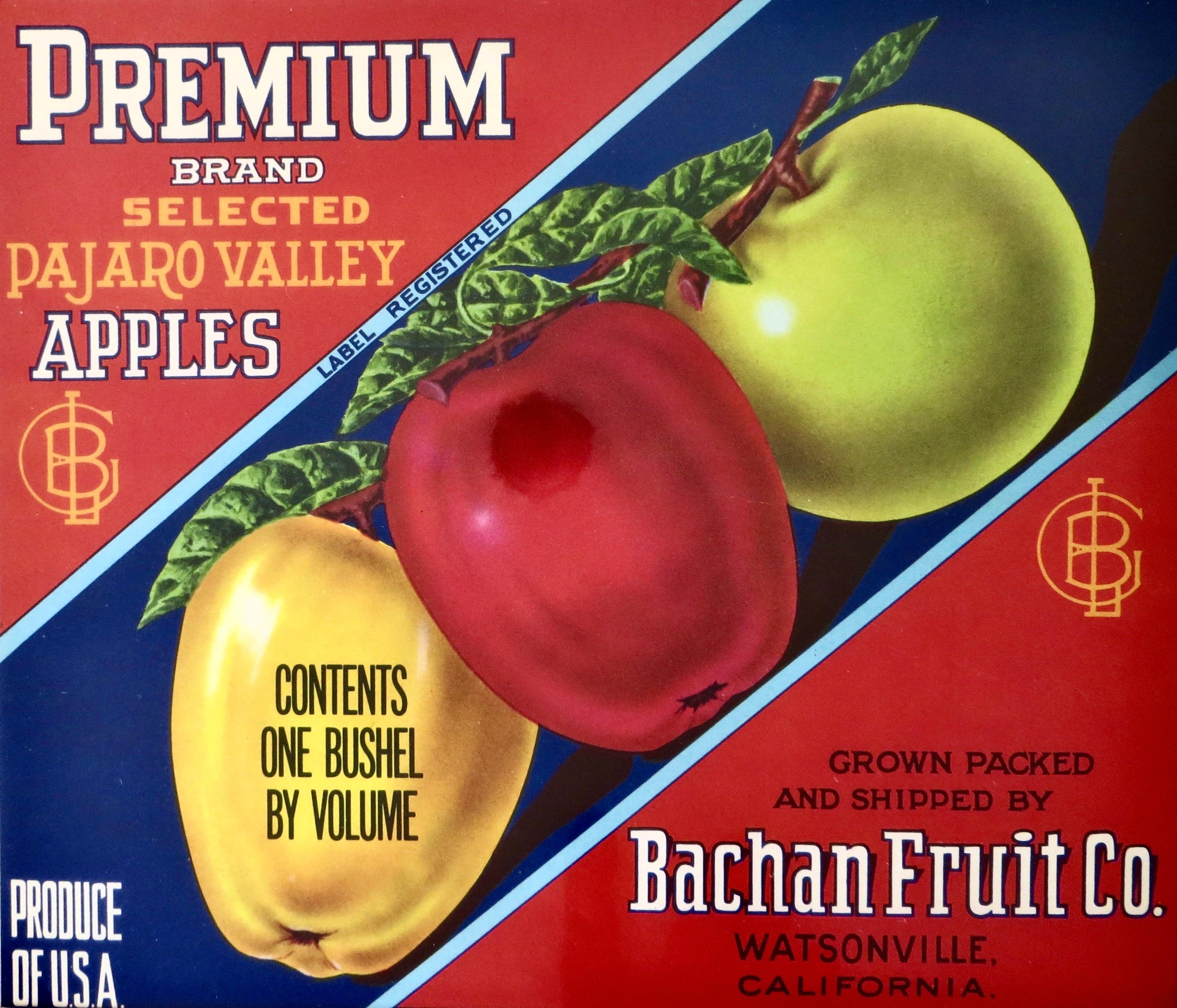Pair of Authentic California Fruit Crate Labels Featuring Apples. Circa 1940's In Excellent Condition For Sale In Incline Village, NV