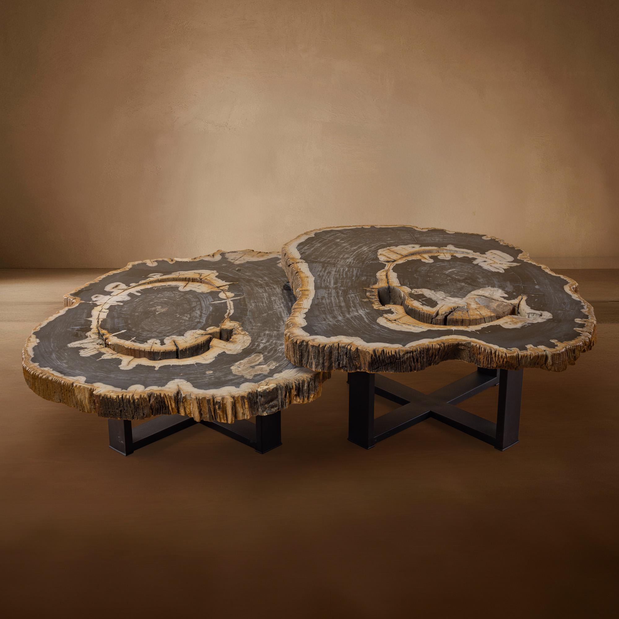 Petrified Wood Table with Metal Base
Origin: Java, Indonesia

This extraordinary table brings the beauty of deep time into your home. Its surface is crafted from petrified wood dating back to the Miocene era—around 20 million years ago—when ancient