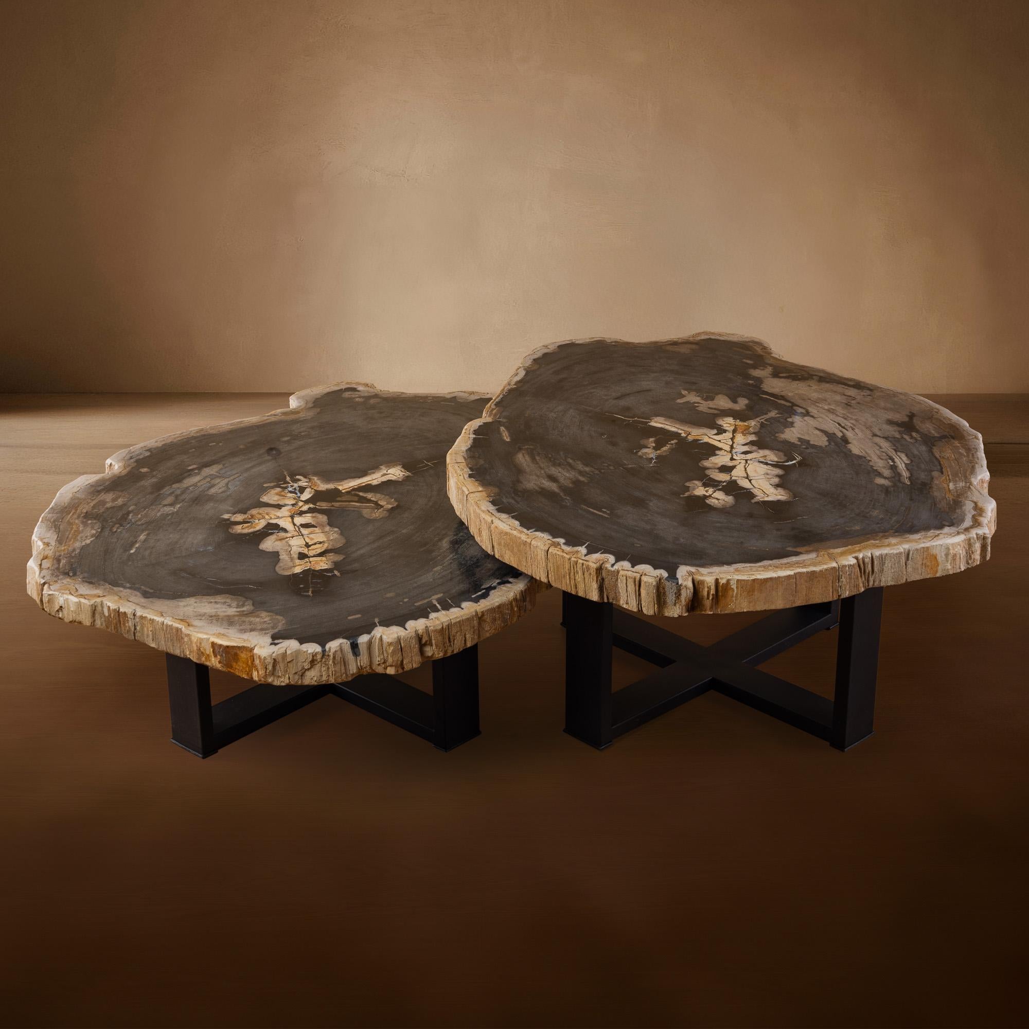 Petrified Wood Table with Metal Base
Origin: Java, Indonesia

This extraordinary table brings the beauty of deep time into your home. Its surface is crafted from petrified wood dating back to the Miocene era—around 20 million years ago—when ancient