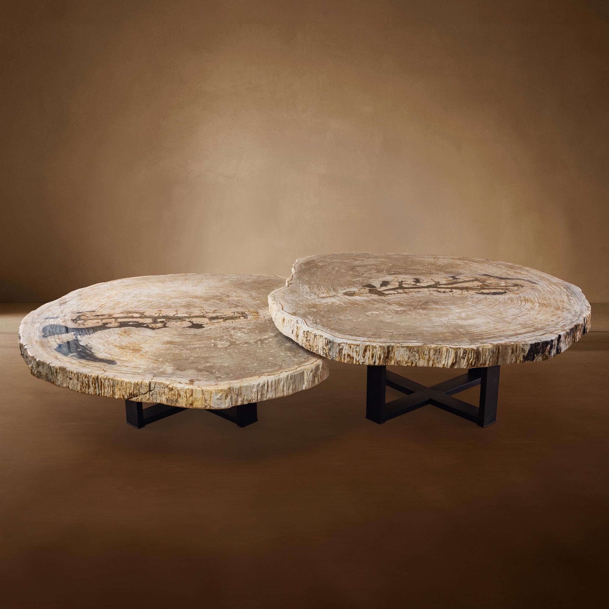 Petrified Wood Table with Metal Base
Origin: Java, Indonesia

This extraordinary table brings the beauty of deep time into your home. Its surface is crafted from petrified wood dating back to the Miocene era—around 20 million years ago—when ancient
