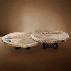 Pair of Authentic Miocene Petrified Wood Coffee Tables with Black Metal Base