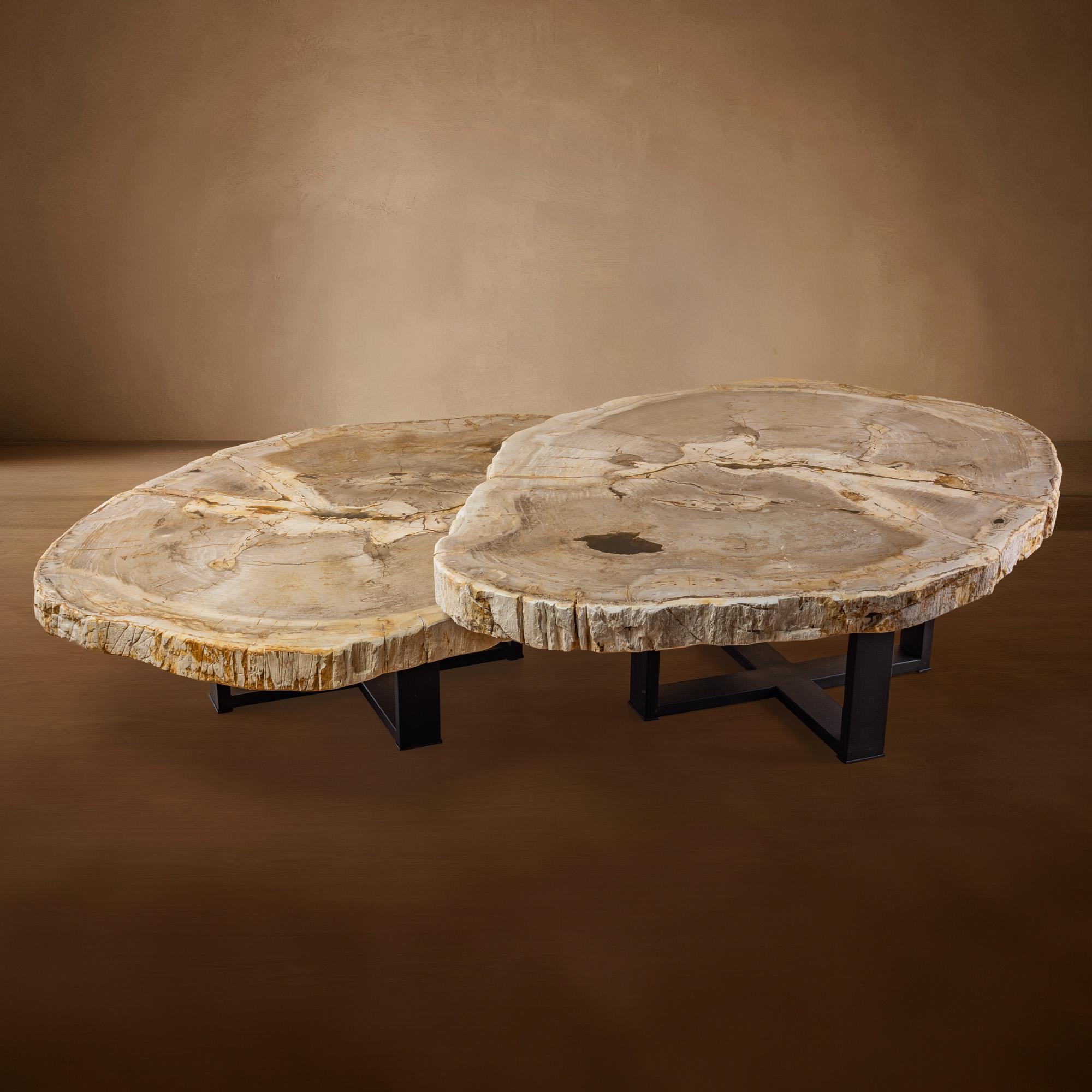 Tavolo in Wood pietrificato con base in metallo
Origine: Giava, Indonesia

Questo straordinario tavolo porta la bellezza del tempo profondo nella tua casa. La sua superficie è realizzata con legno pietrificato risalente all'era del Miocene, circa 20