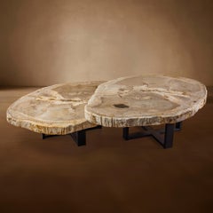 Pair of Authentic Miocene Petrified Wood Coffee Tables with Black Metal Base