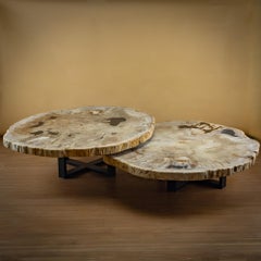 Pair of Authentic Miocene Petrified Wood Coffee Tables with Black Metal Base