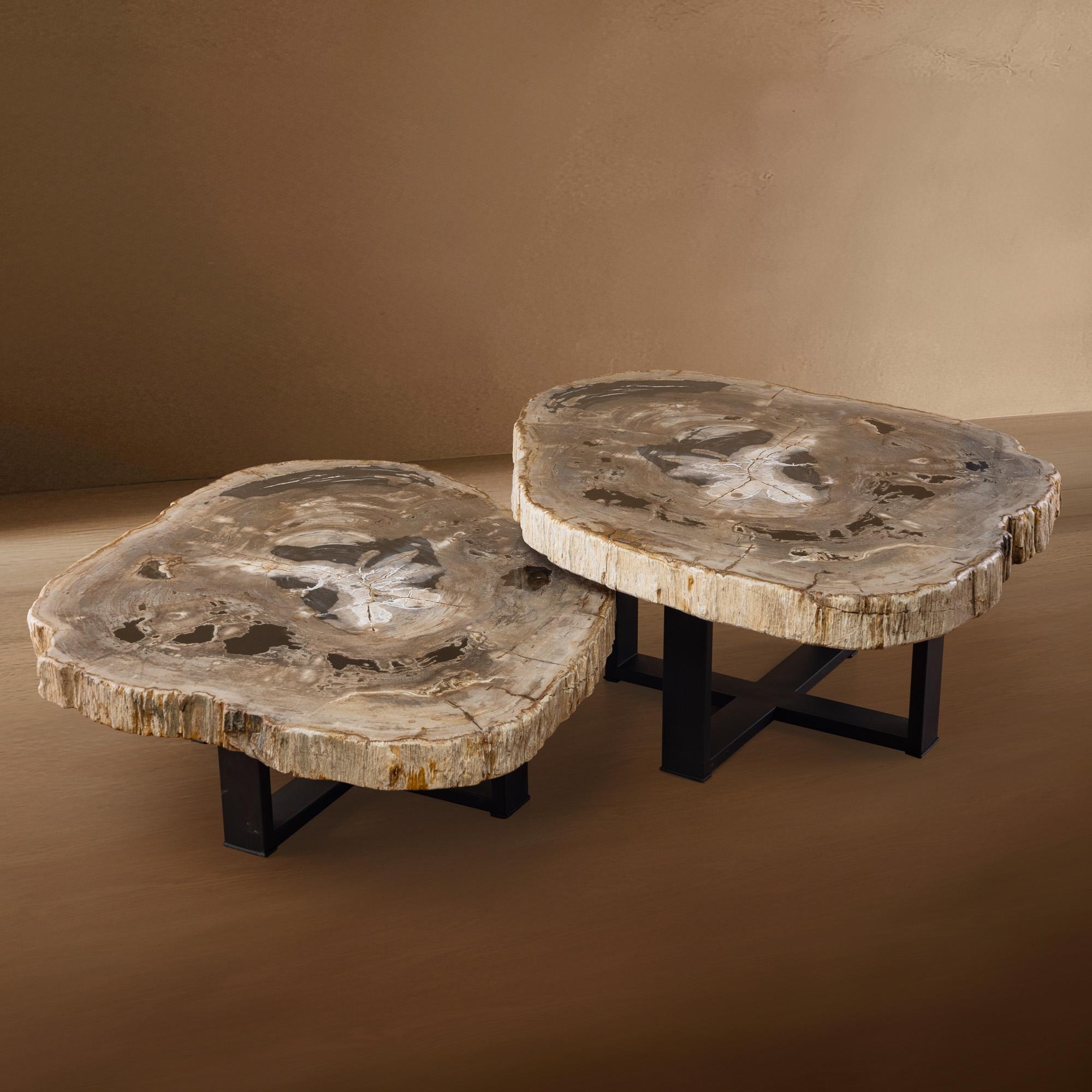 Organic Modern Pair of Authentic Miocene Petrified Wood Coffee Tables with Black Metal Base For Sale