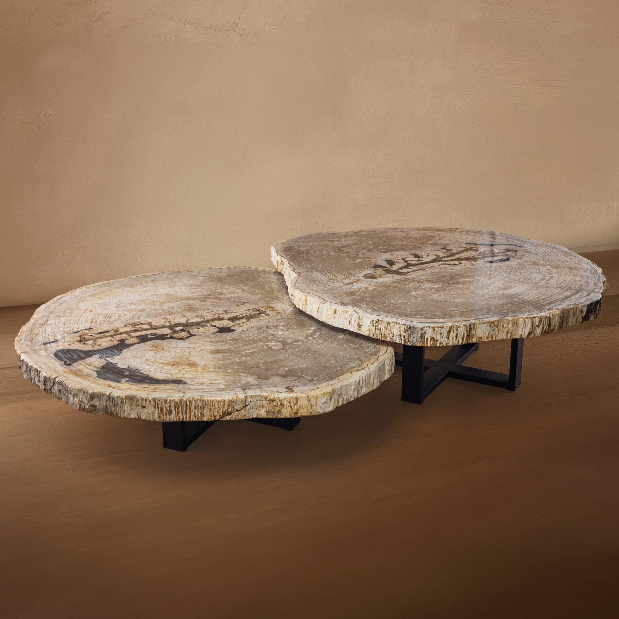 Organic Modern Pair of Authentic Miocene Petrified Wood Coffee Tables with Black Metal Base For Sale