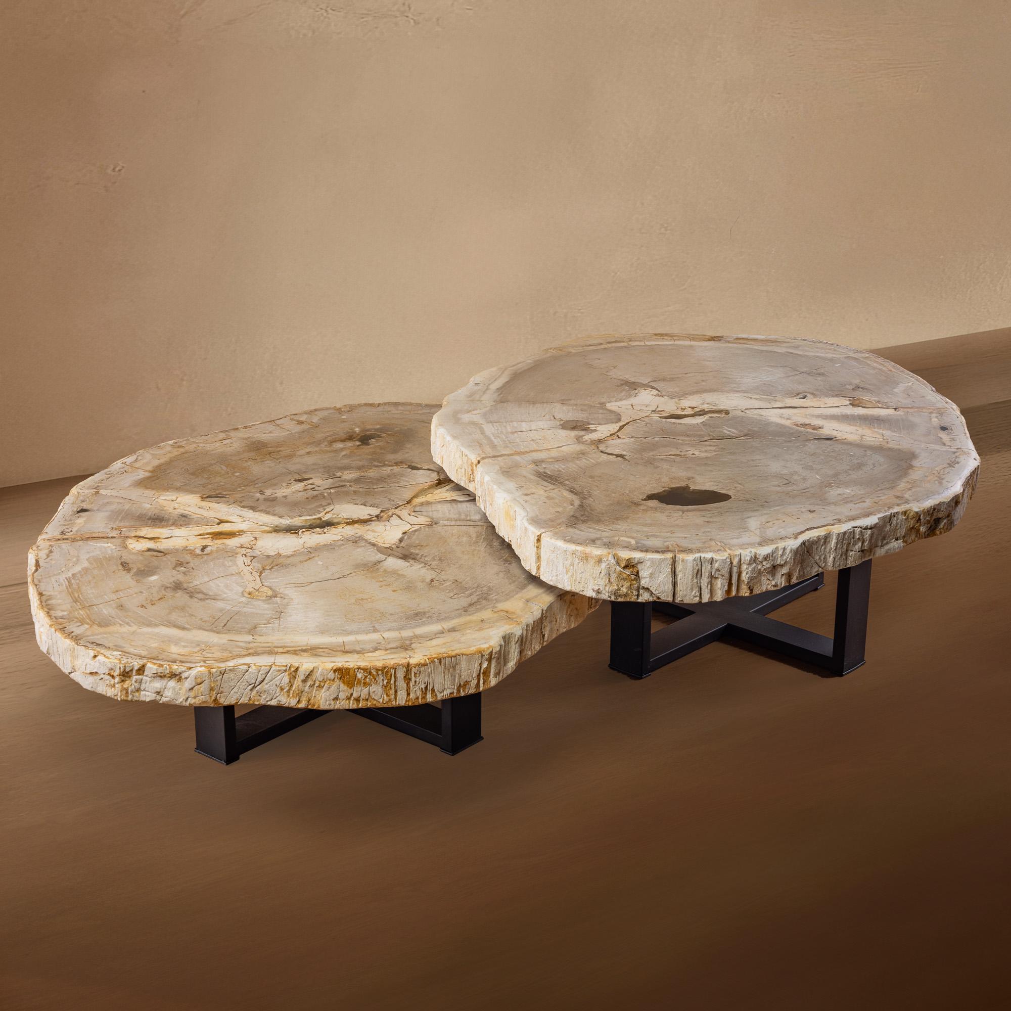 Organico moderno Coppia di autentici tavolini in legno pietrificato del Miocene con base in metallo nero in vendita