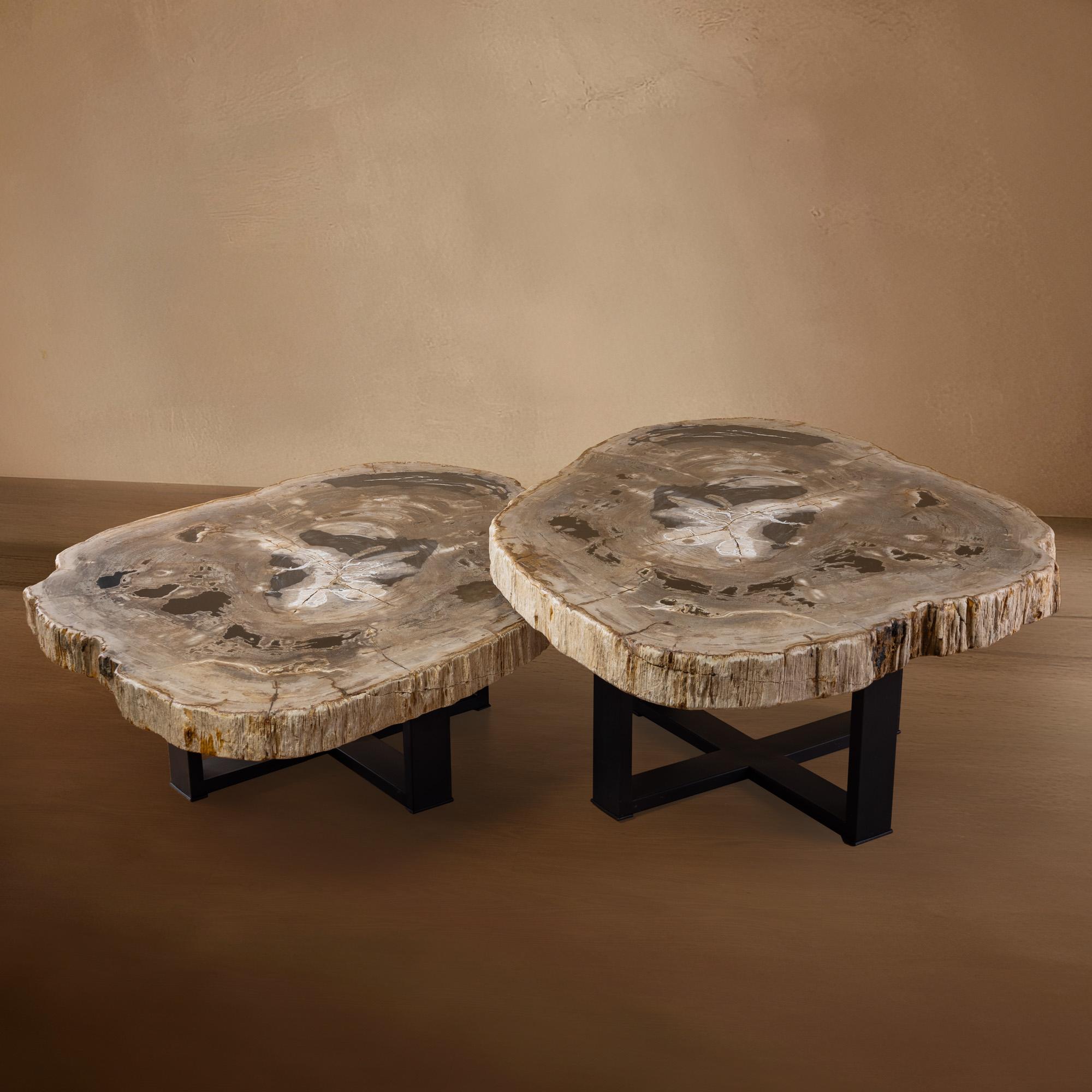 Mexican Pair of Authentic Miocene Petrified Wood Coffee Tables with Black Metal Base For Sale