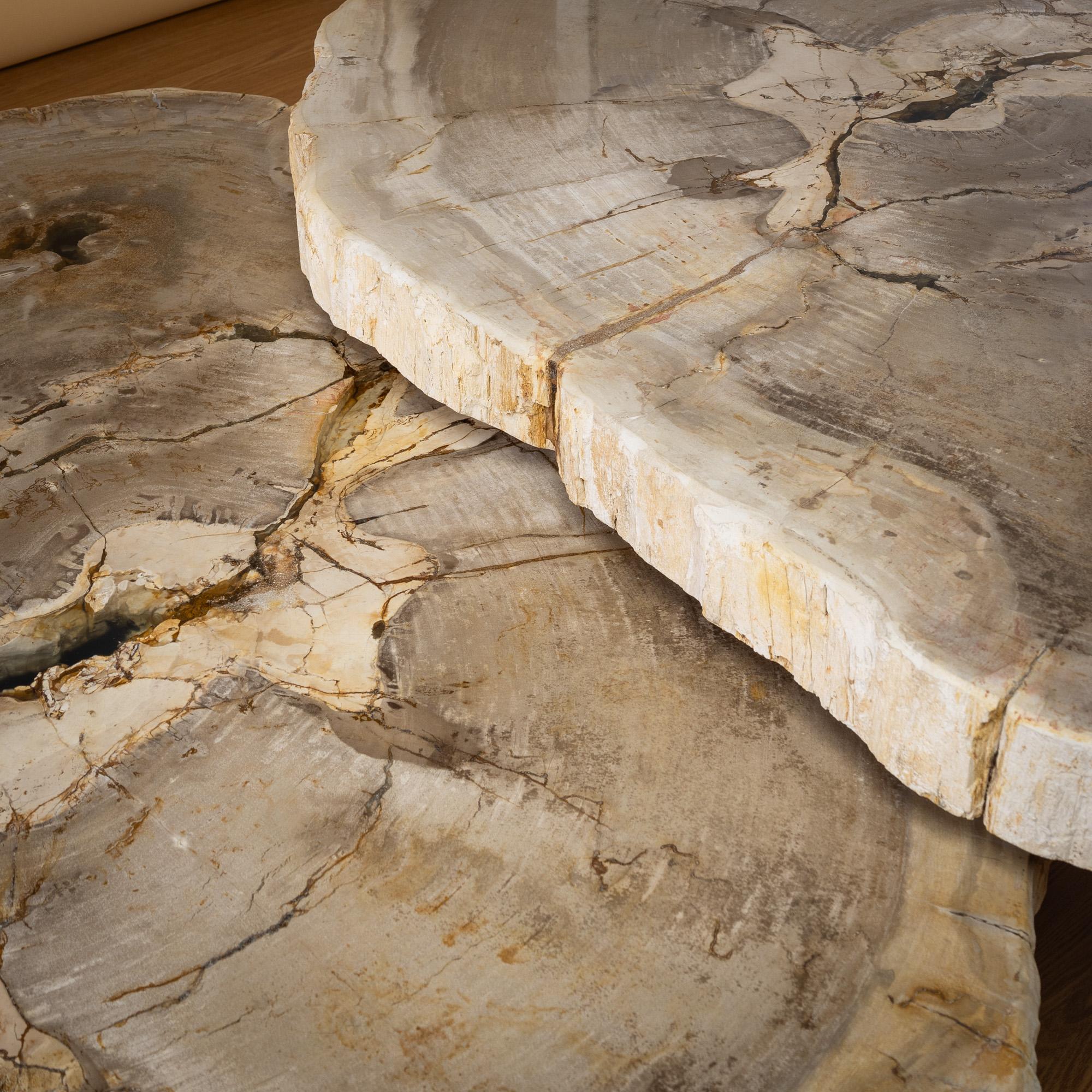 Lucidato Coppia di autentici tavolini in legno pietrificato del Miocene con base in metallo nero in vendita
