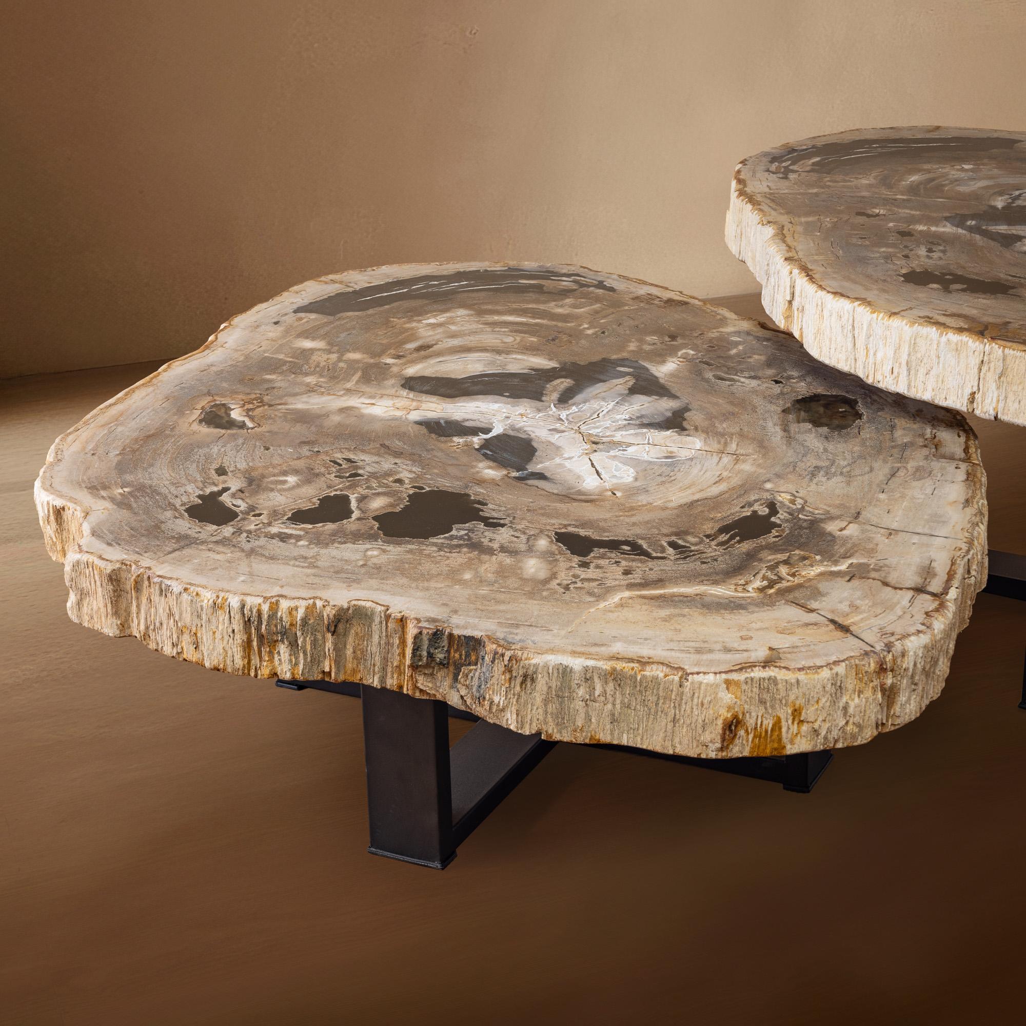 Pair of Authentic Miocene Petrified Wood Coffee Tables with Black Metal Base In New Condition For Sale In Polanco, CDMX
